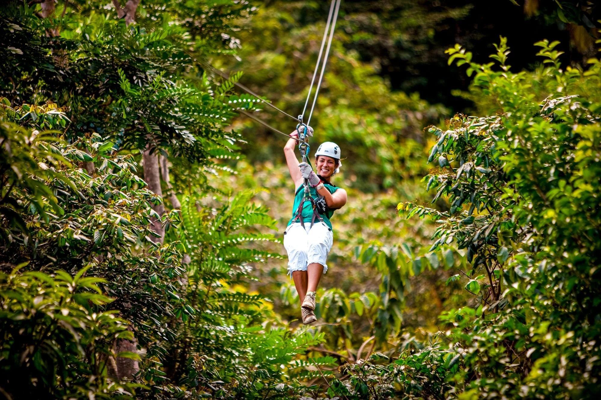 Rainforest zipline canopy tour