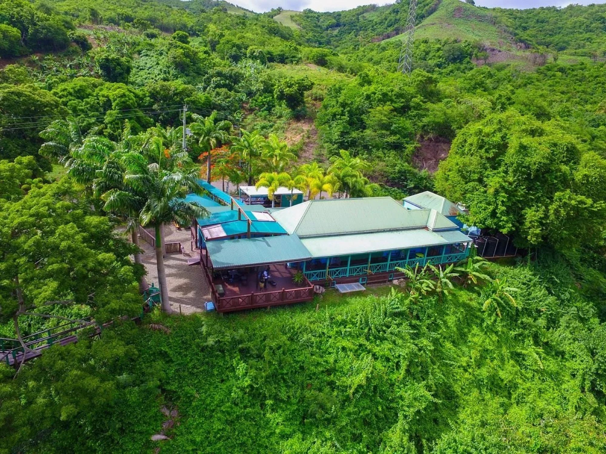 Rainforest zipline canopy tour