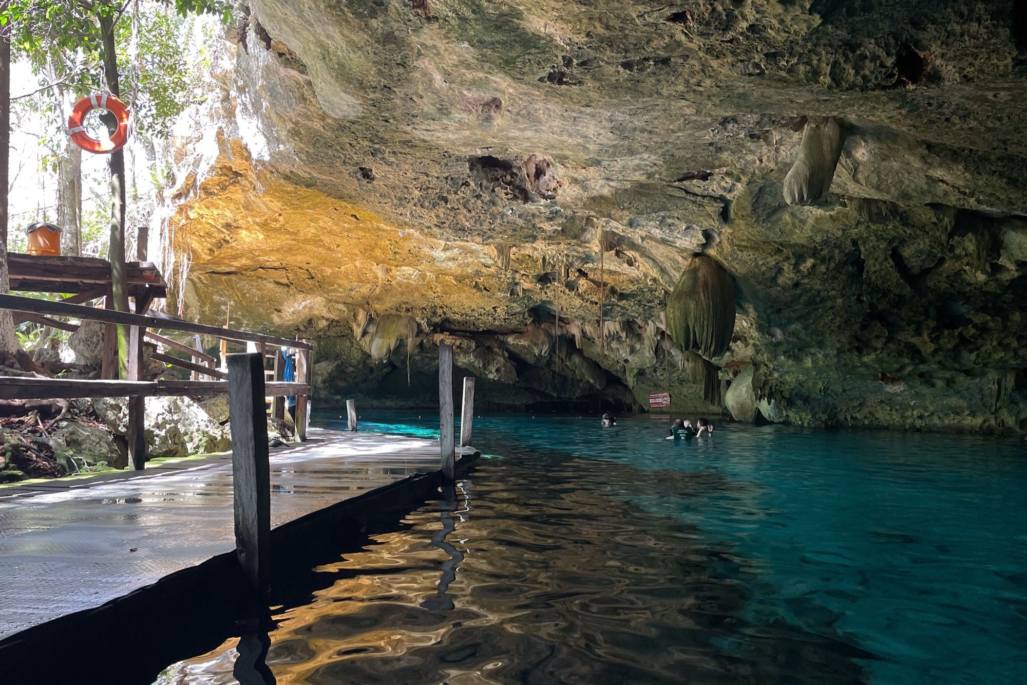 Cenote Swim & Snorkel near Tulum