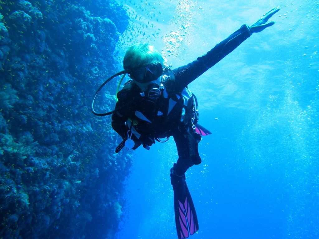 Try scuba diving in the Red Sea: beginner boat dive from Hurghada