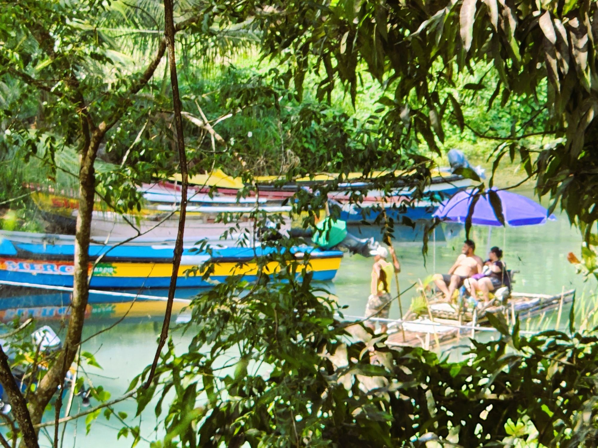 Bamboo rafts among the trees on the White River