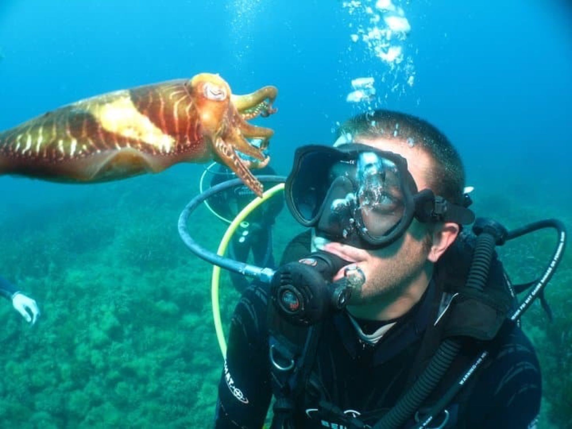 Try Scuba Diving in Sliema
