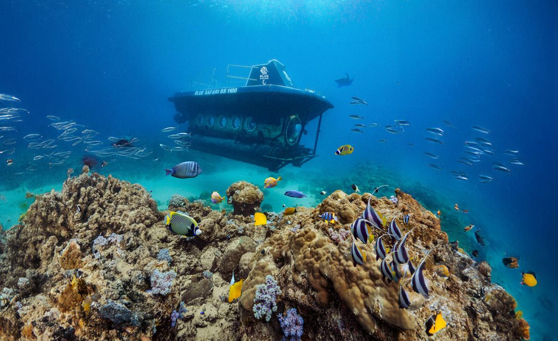 Submarine Dive to 35 Metres at Trou aux Biches