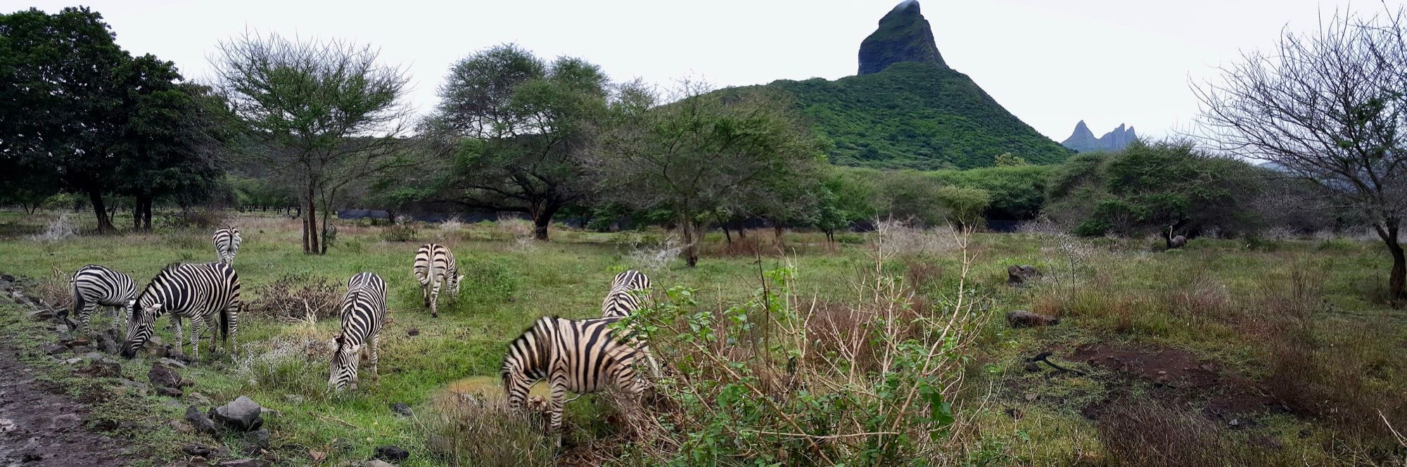 Casela Nature Parks Day