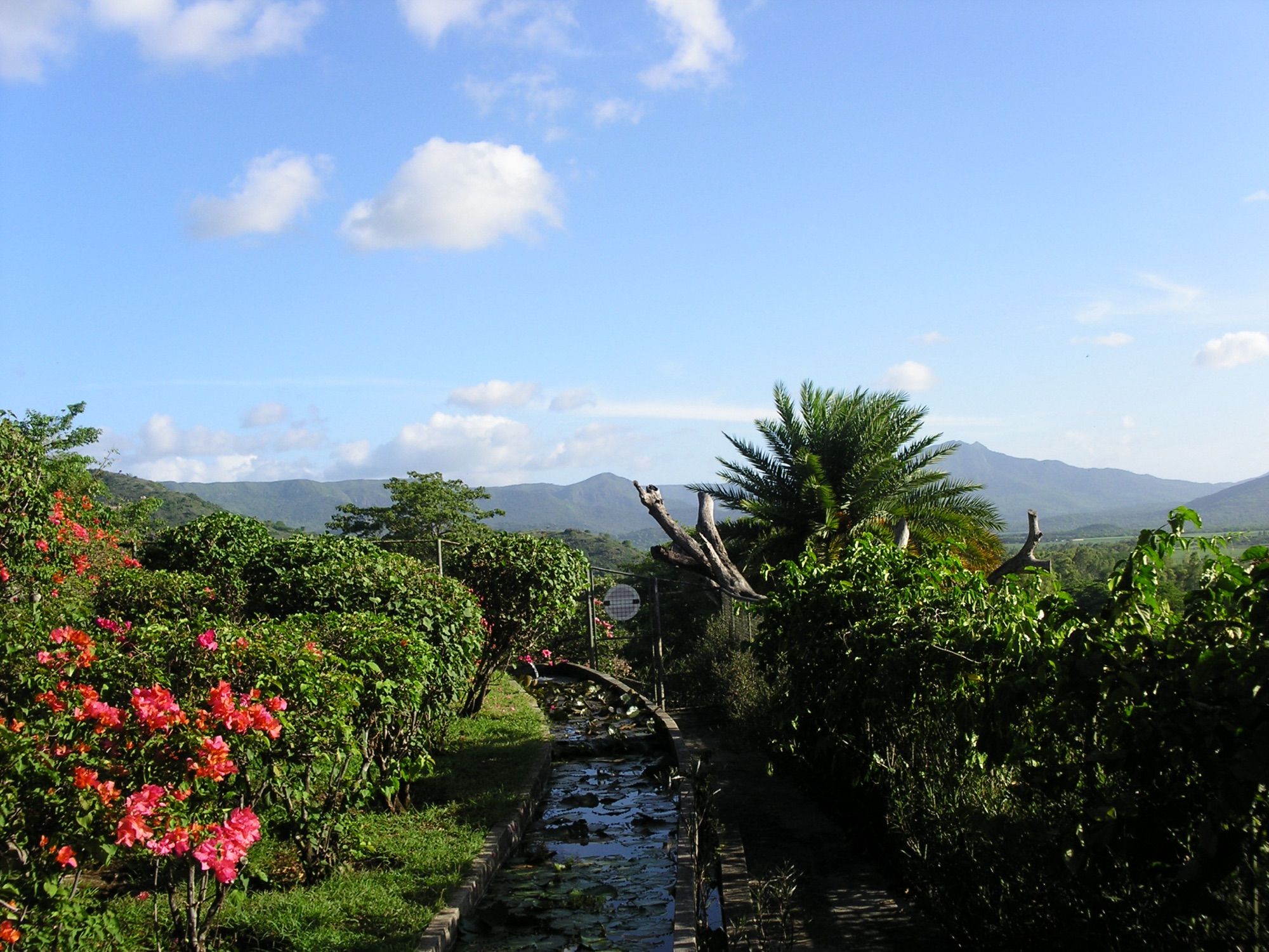 Gardens at Casela with the Black River peaks behind