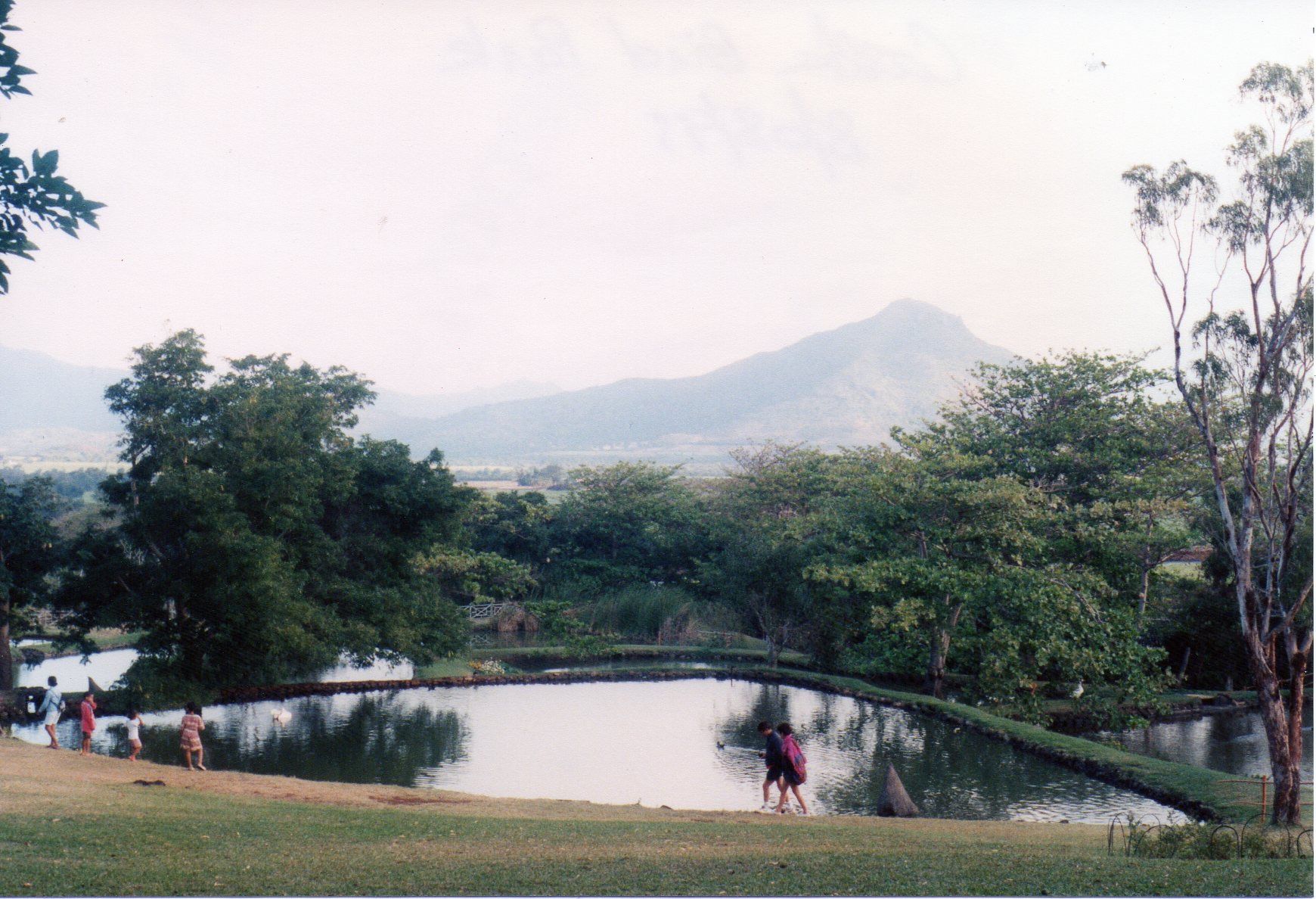 Lake in the Casela park grounds