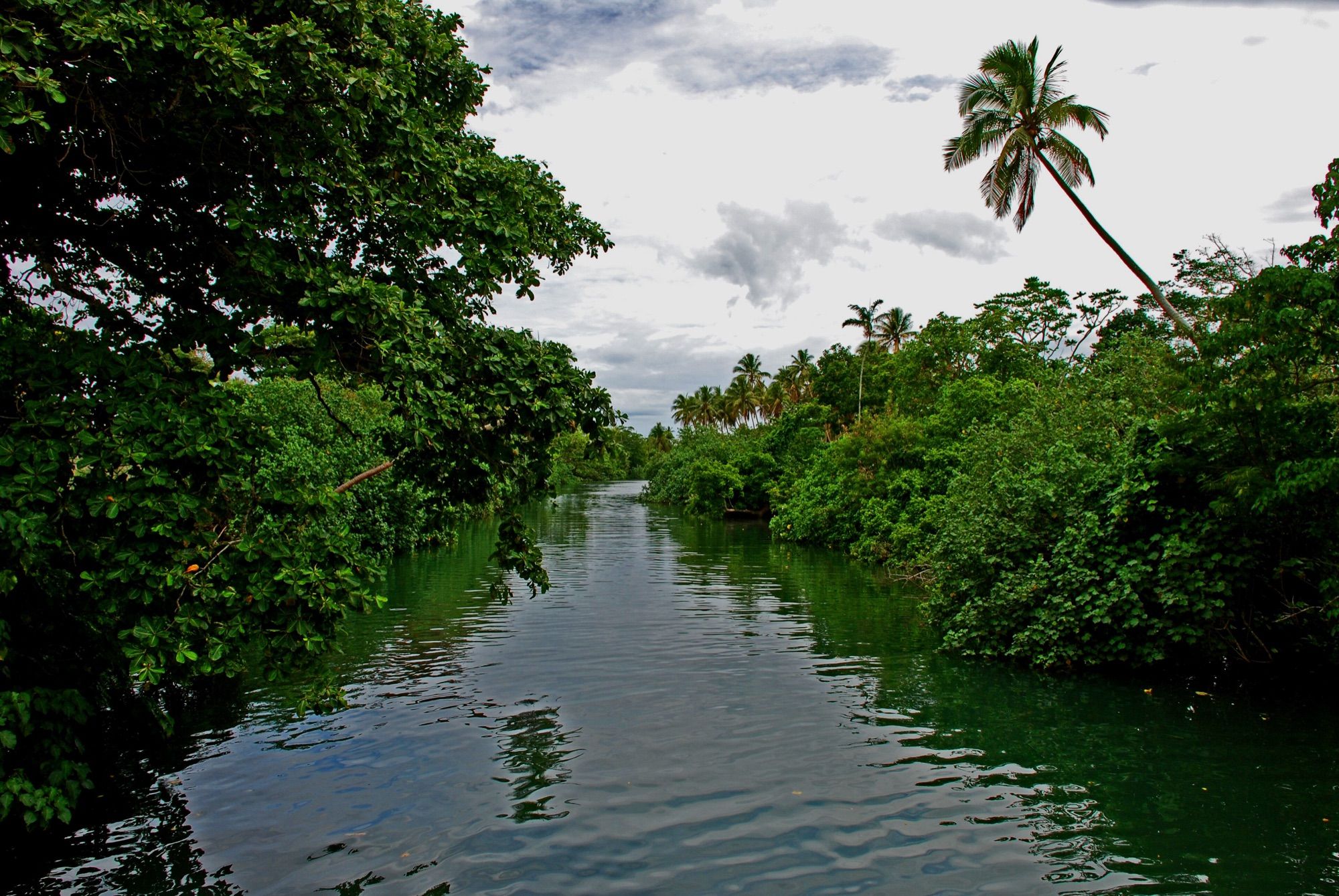 A calm river winding through Efate's forest