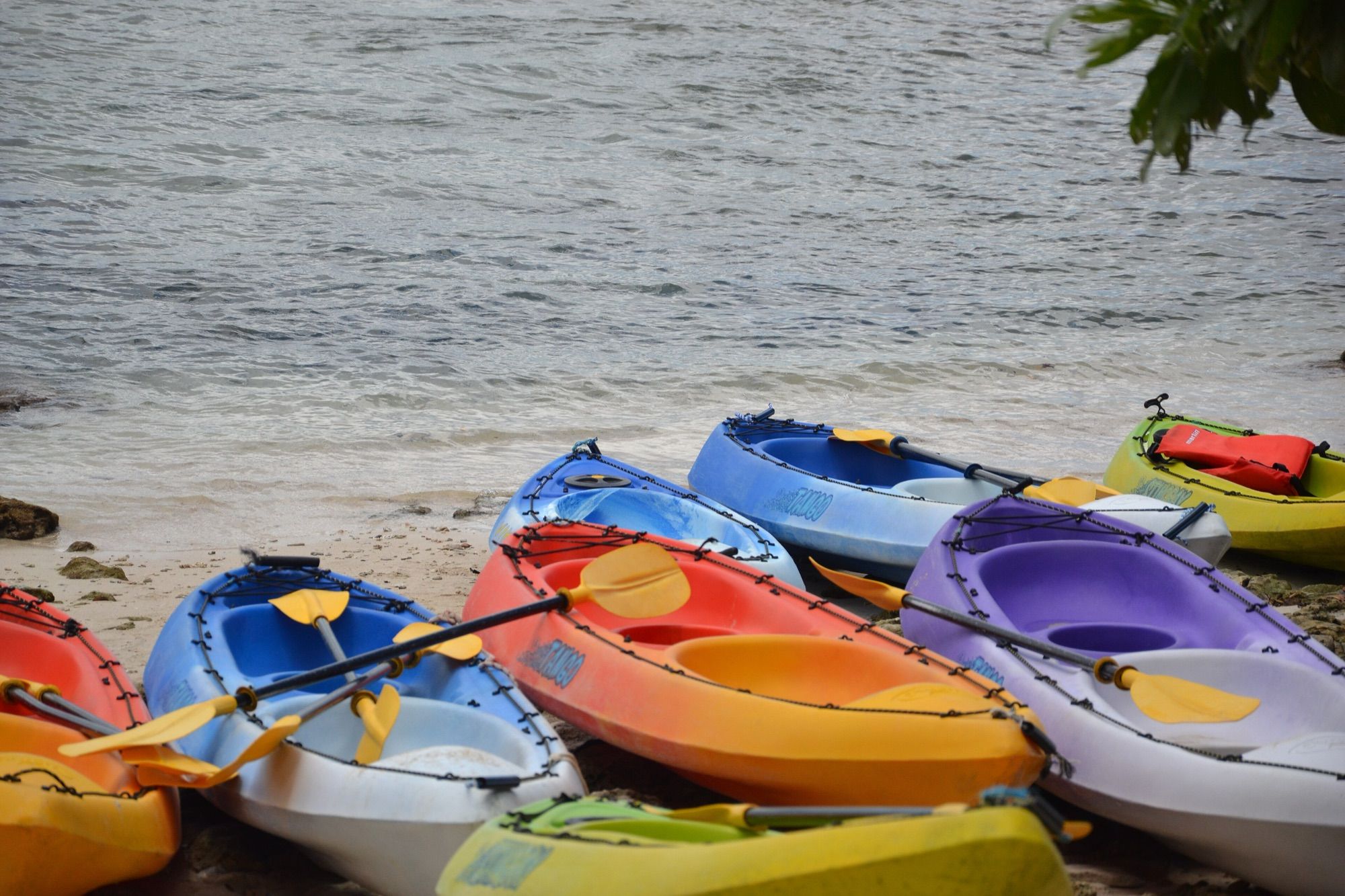 Kayaks lined up on the sand