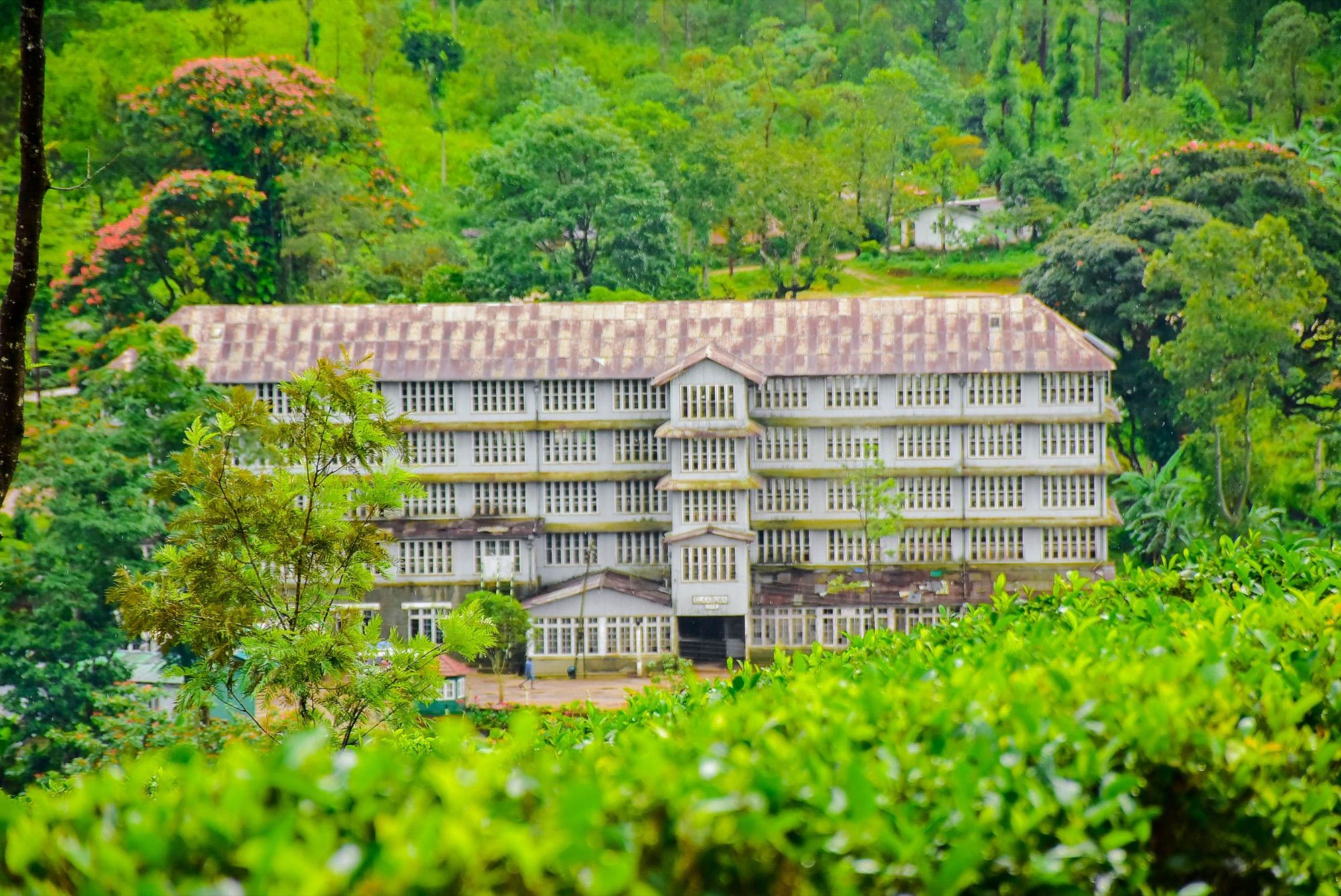 A classic hill-country tea factory among the bushes