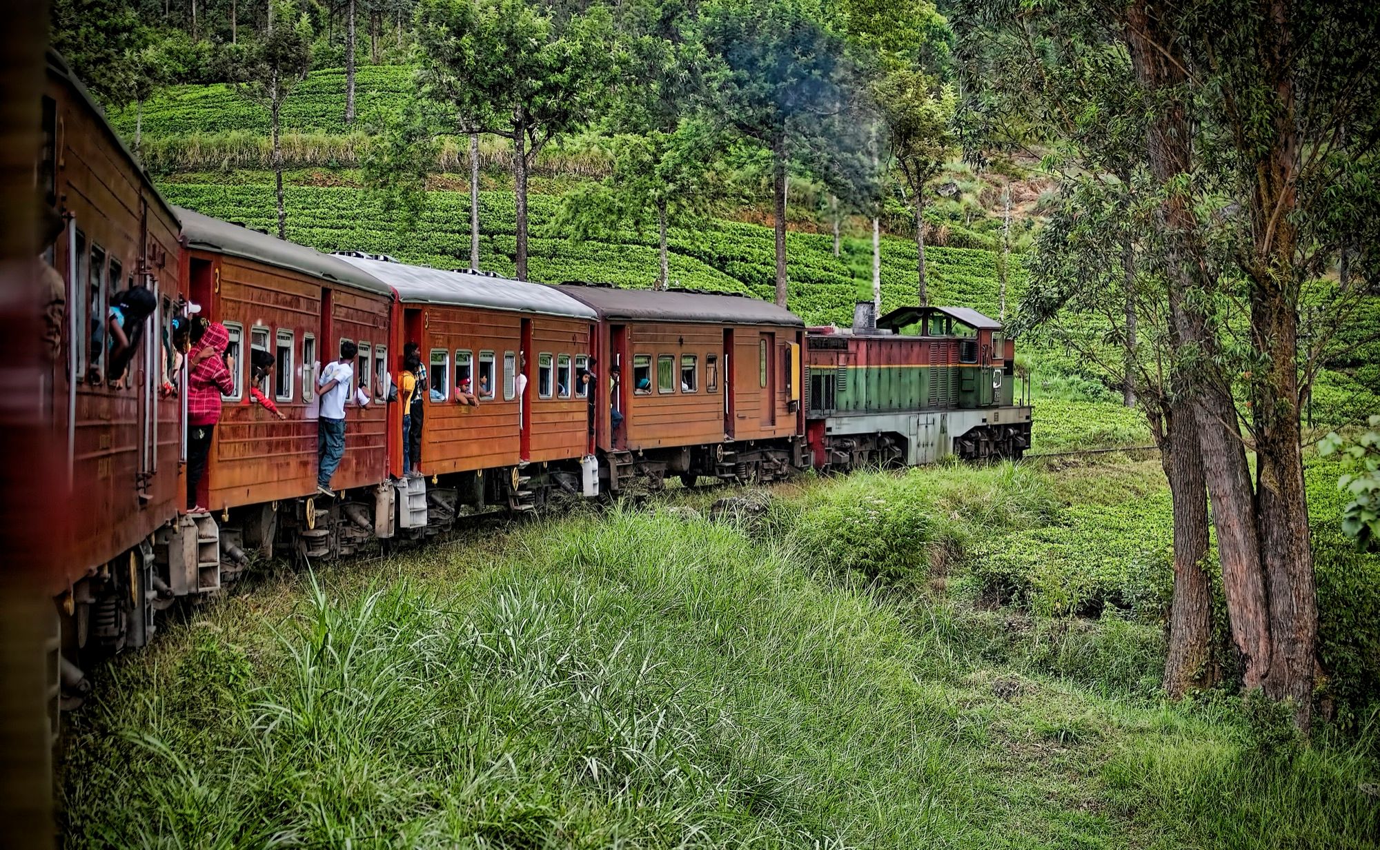 Scenic Hill-Country Train Ride to Ella