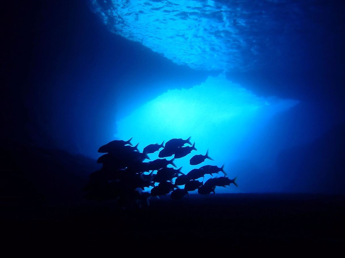 Tanna Blue Cave Tour