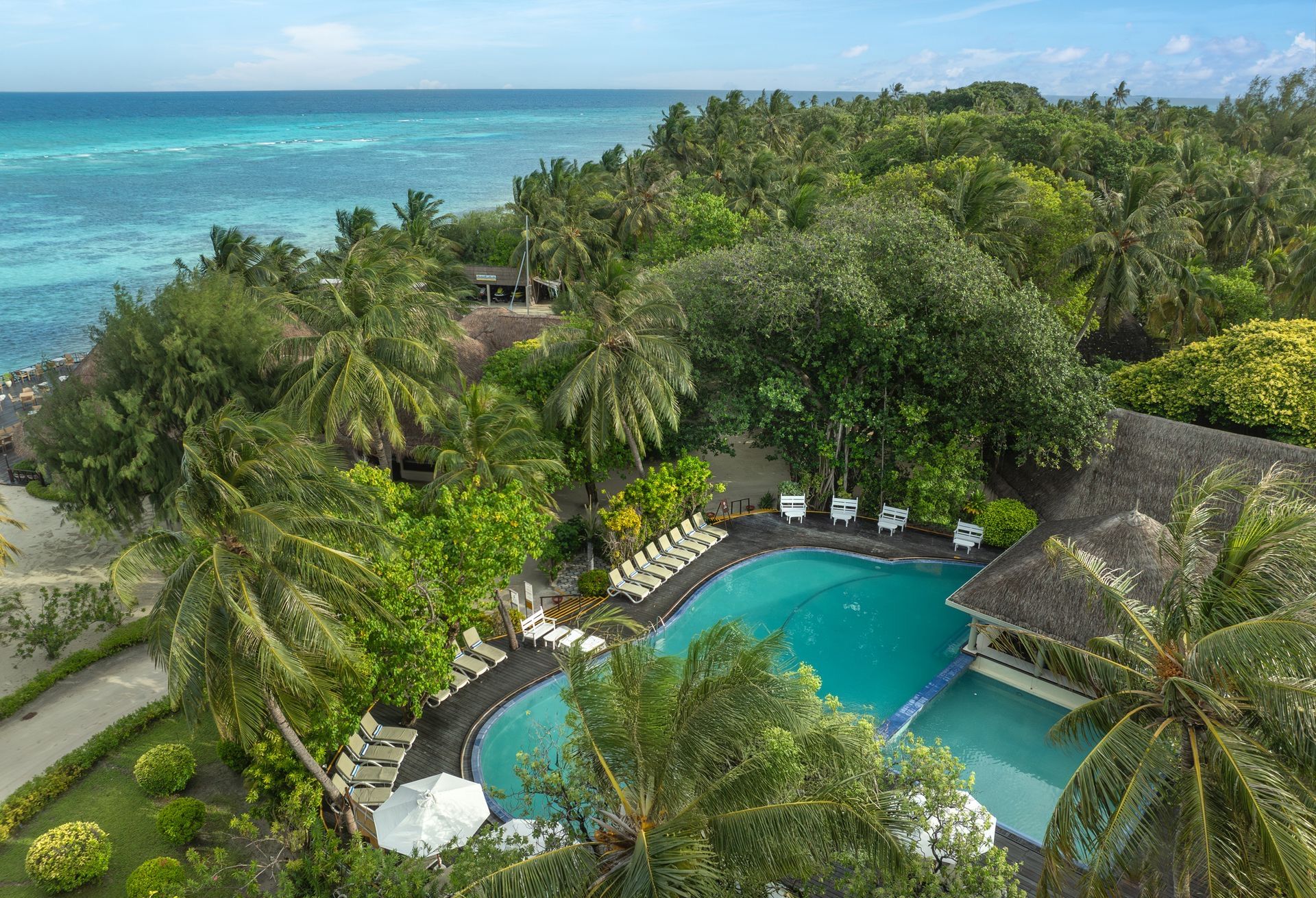 Swimming pool surrounded by palms and sun loungers