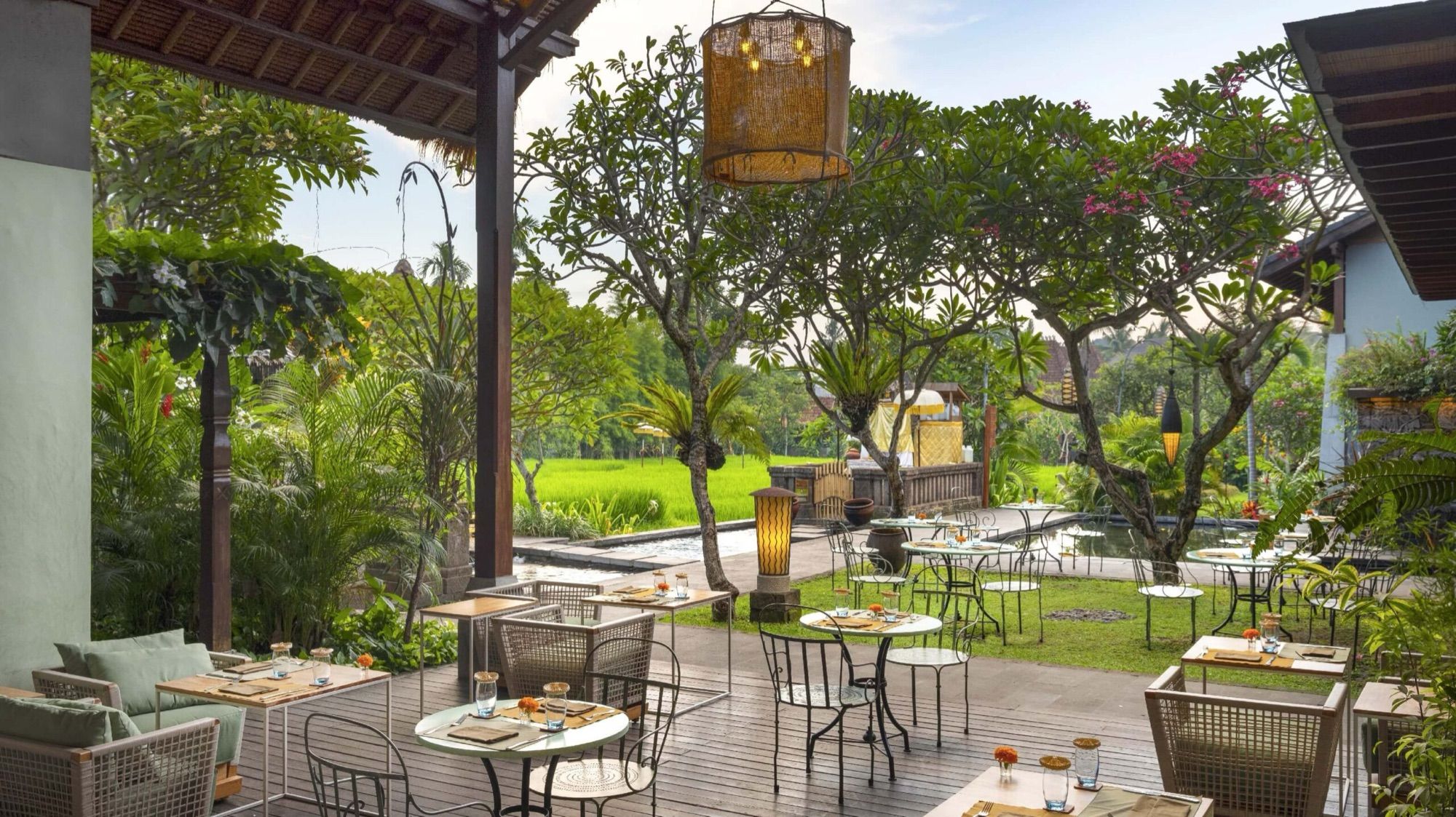 Brasserie terrace beside the rice field
