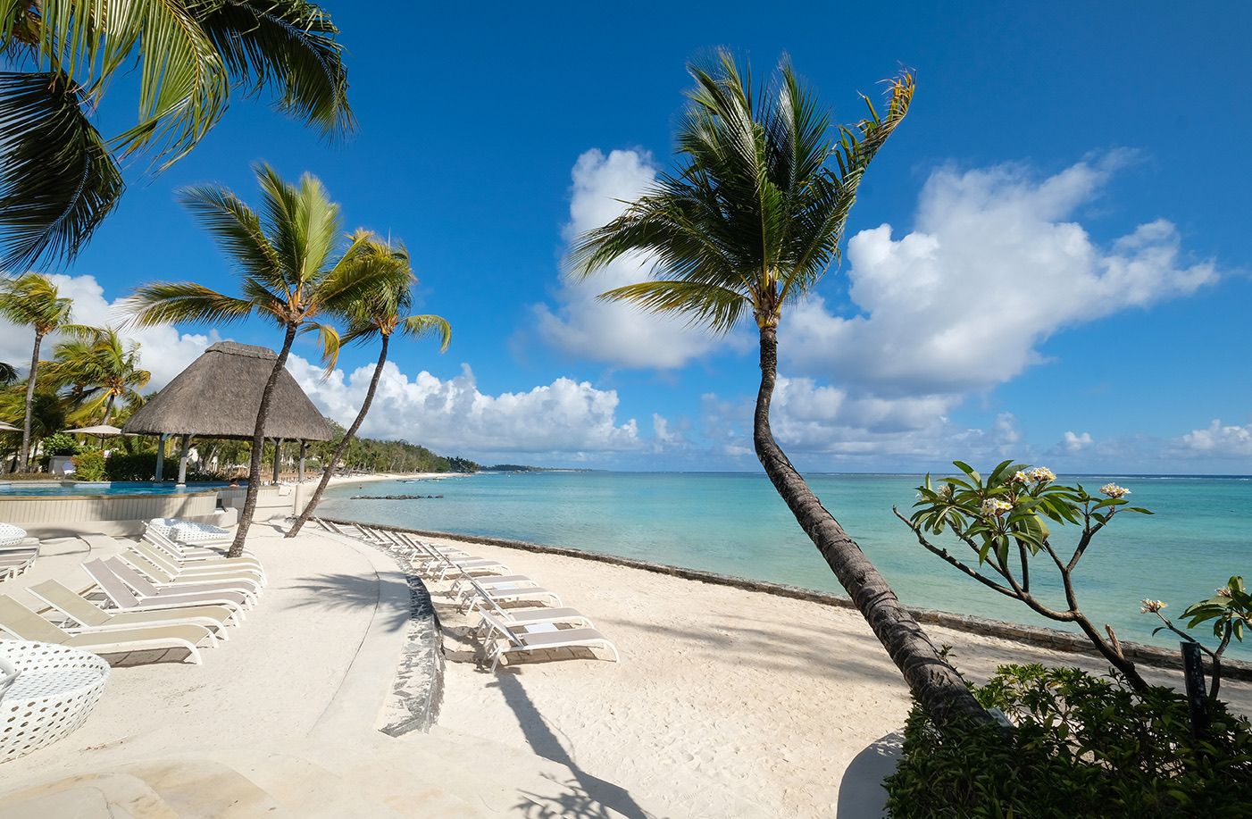 Palm-lined beach at Ambre