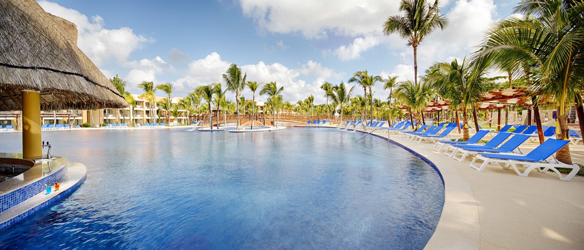 Large curved pool with sun loungers and palms