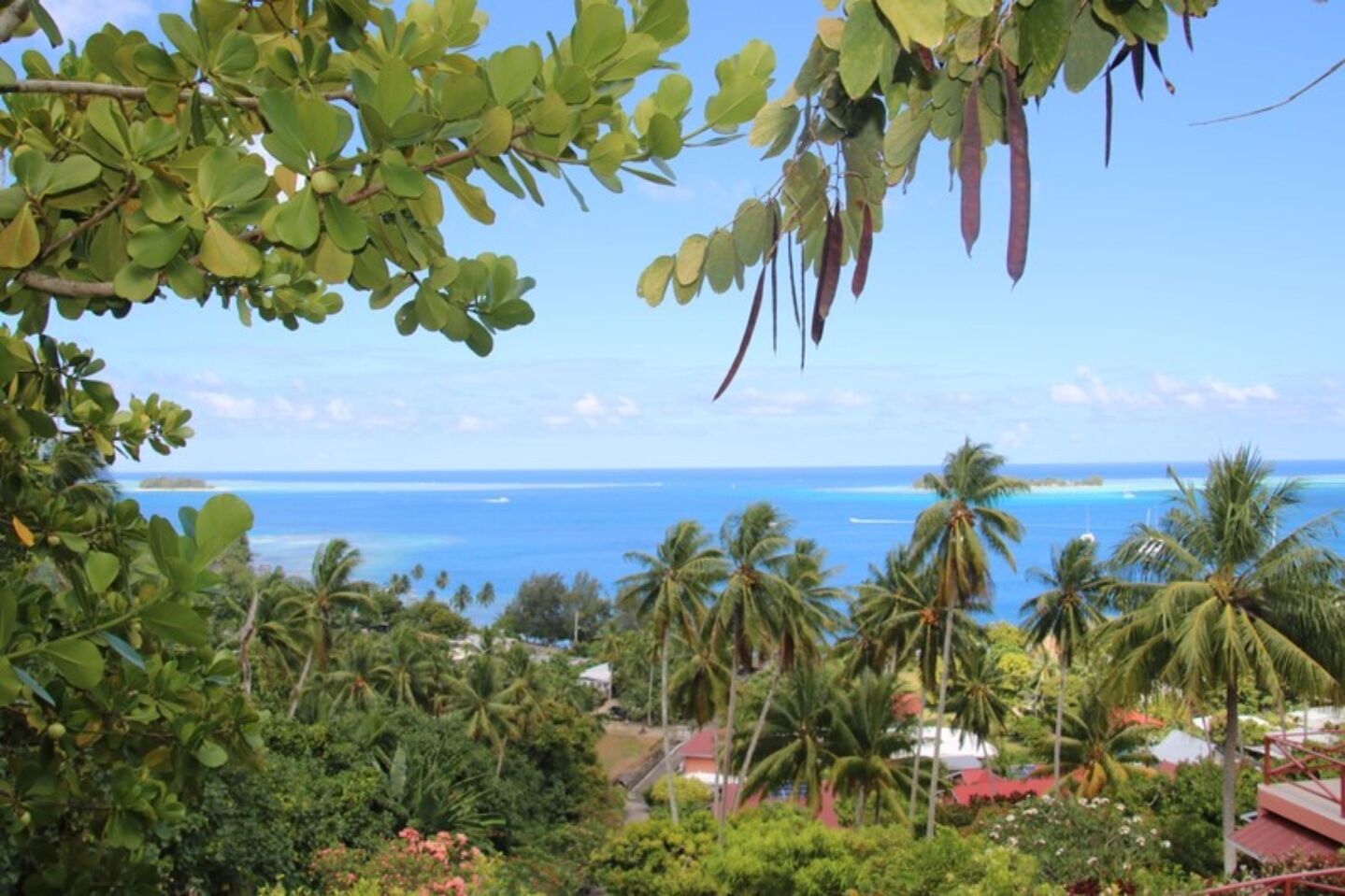 View over the lagoon from the hillside
