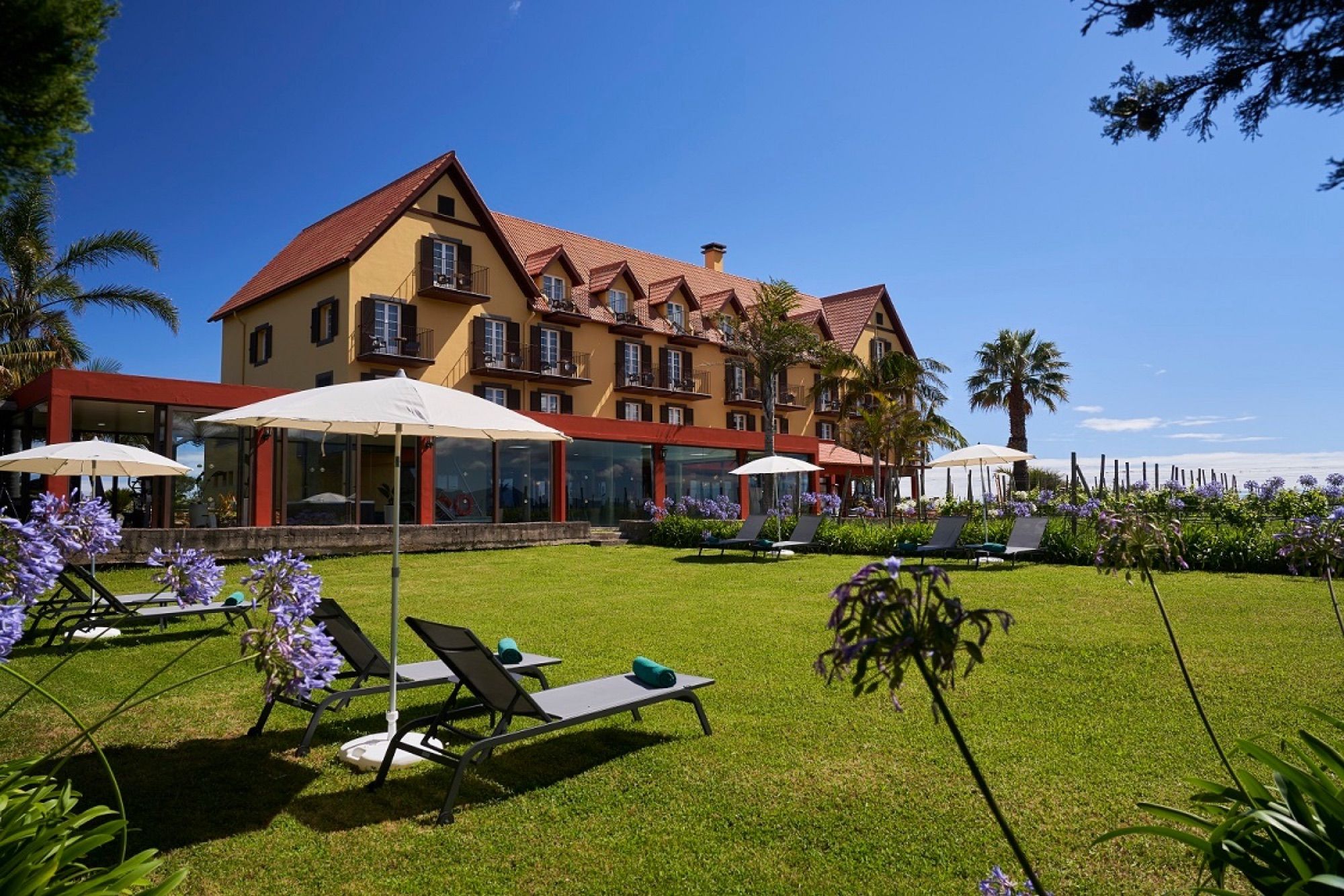 Hotel lawns and sun loungers with agapanthus