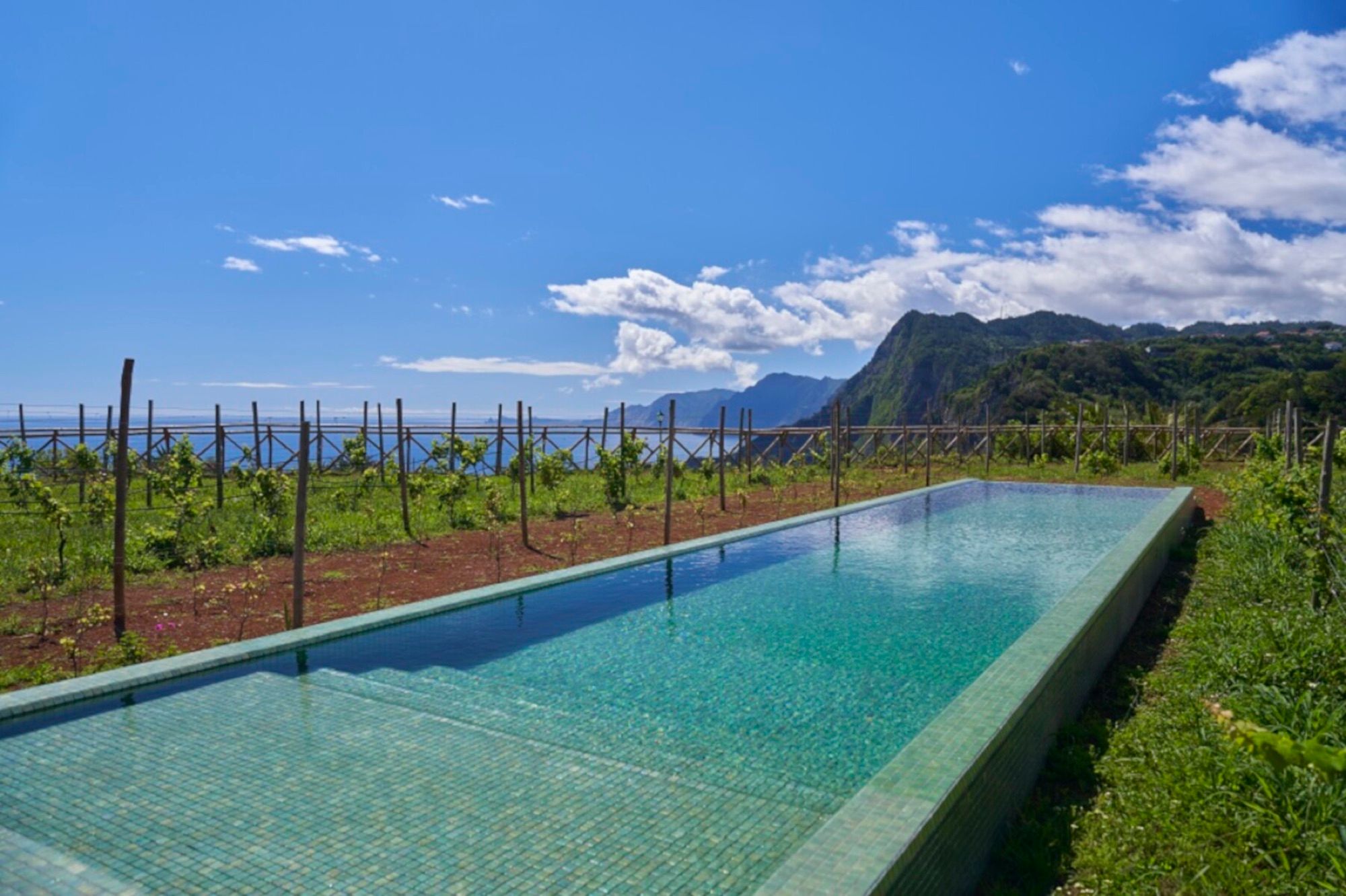 Outdoor pool among the vines