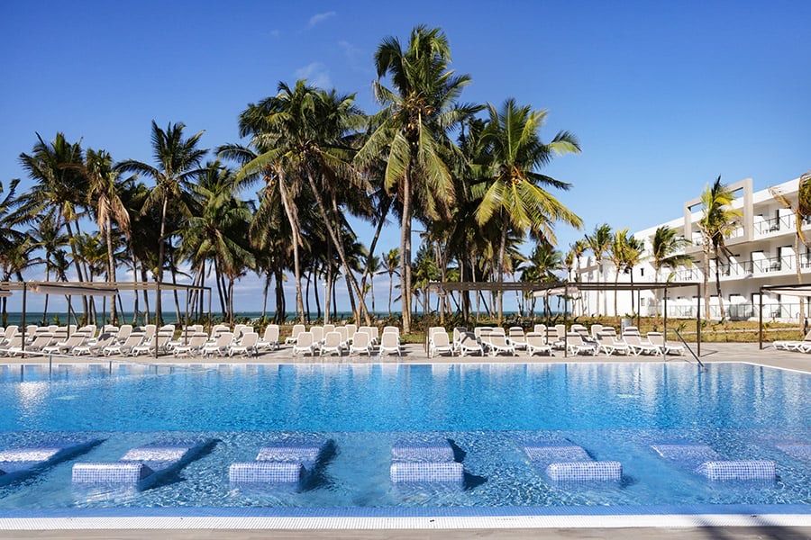 Main pool lined with palms