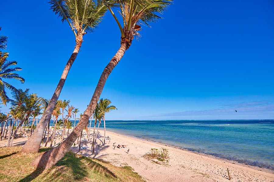 Palm trees on the beach in front of the hotel