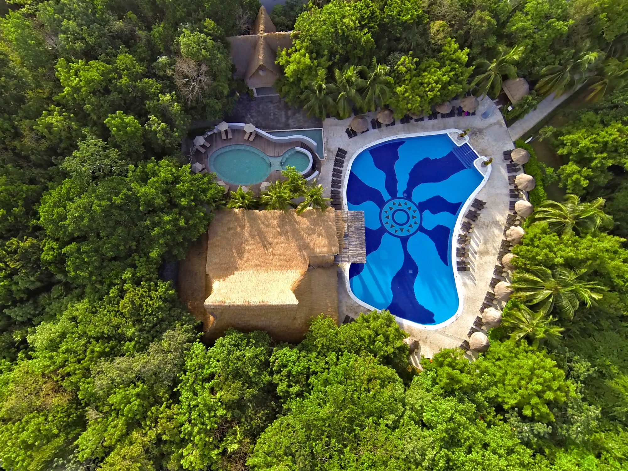 Pool surrounded by jungle, seen from above