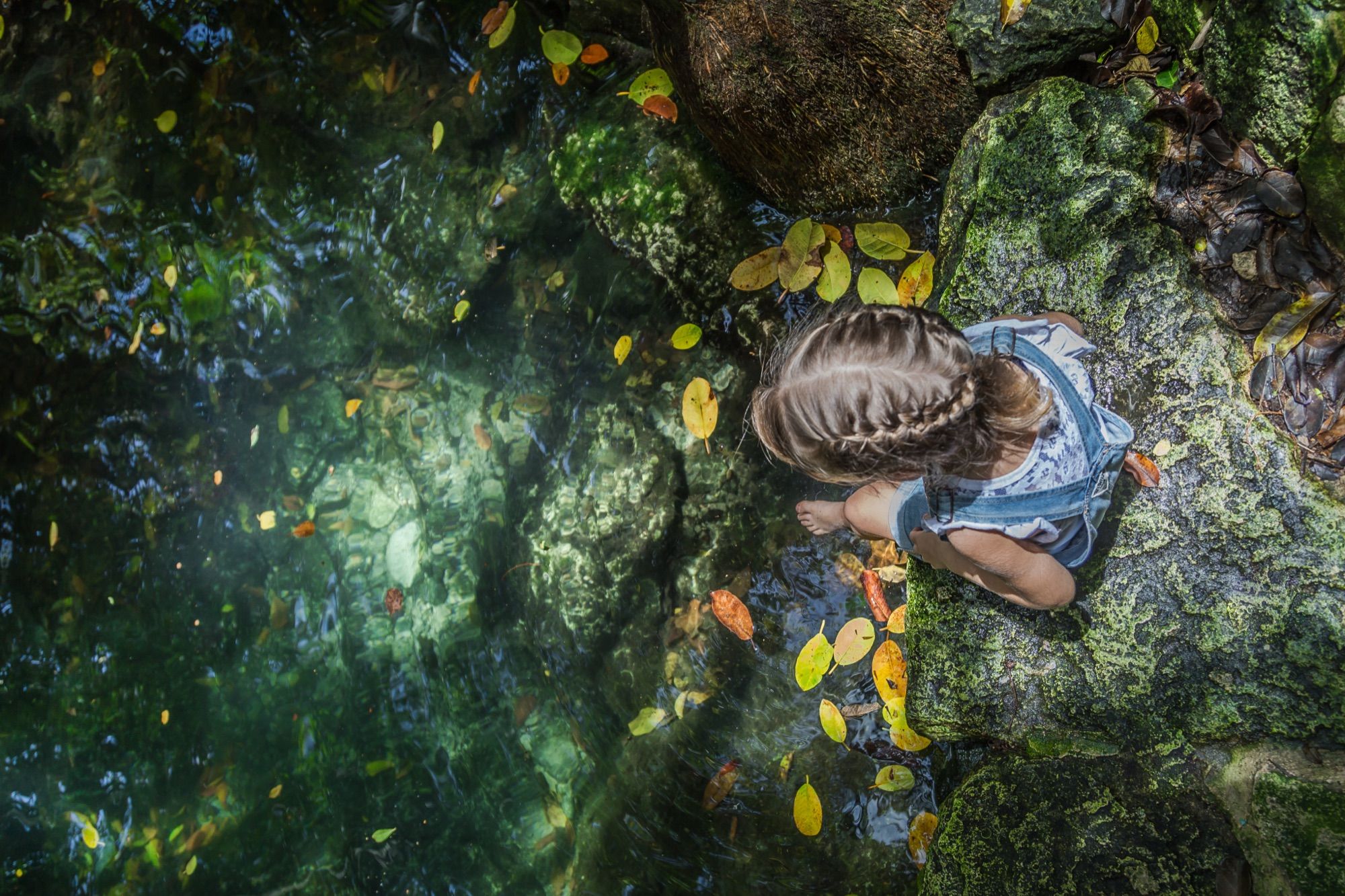 Child looking into the clear water of a cenote in the resort grounds