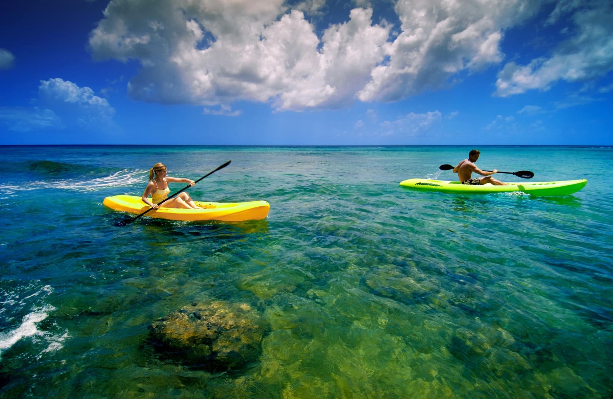 Guests kayaking over clear water off the west coast