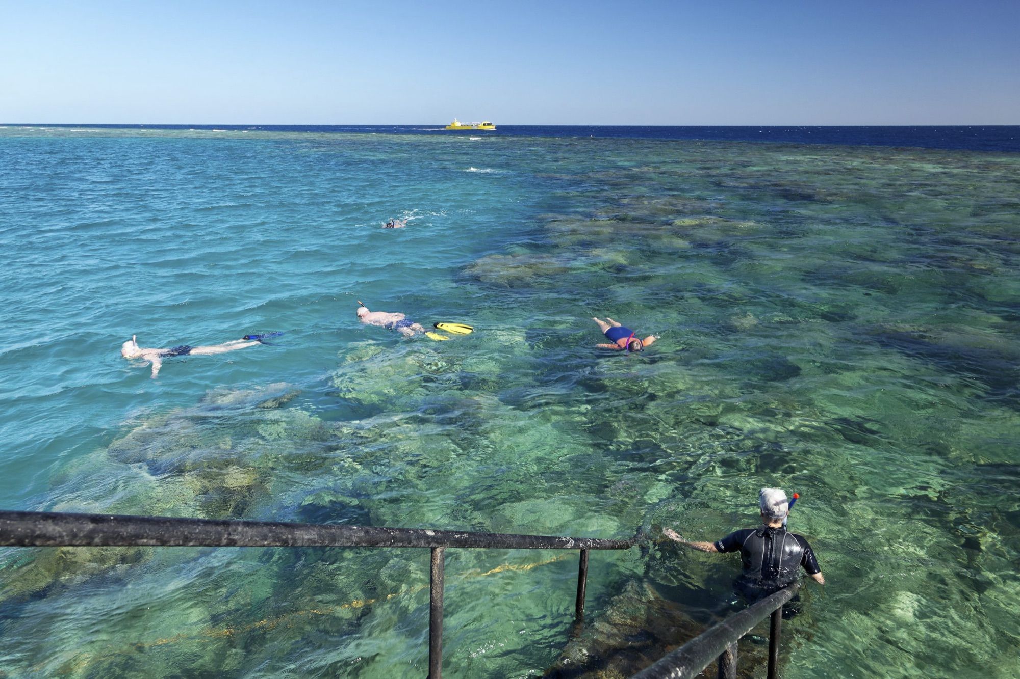 Snorkellers over the coral reef beside the jetty at Fayrouz Plaza