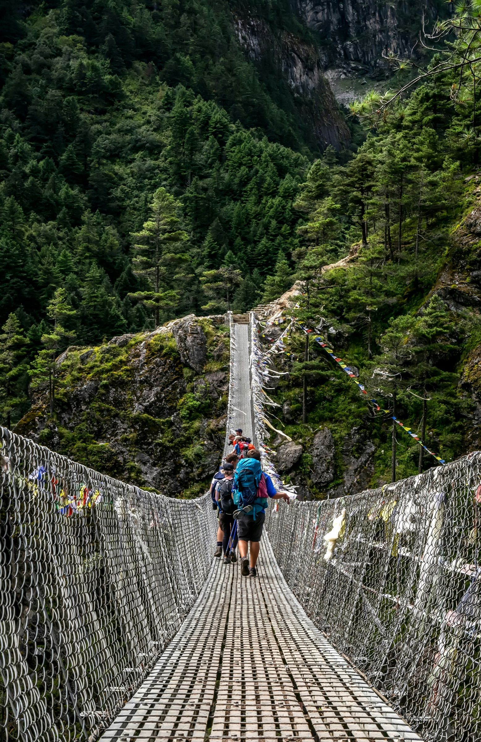 Trekkers crossing a high suspension bridge in a forested gorge