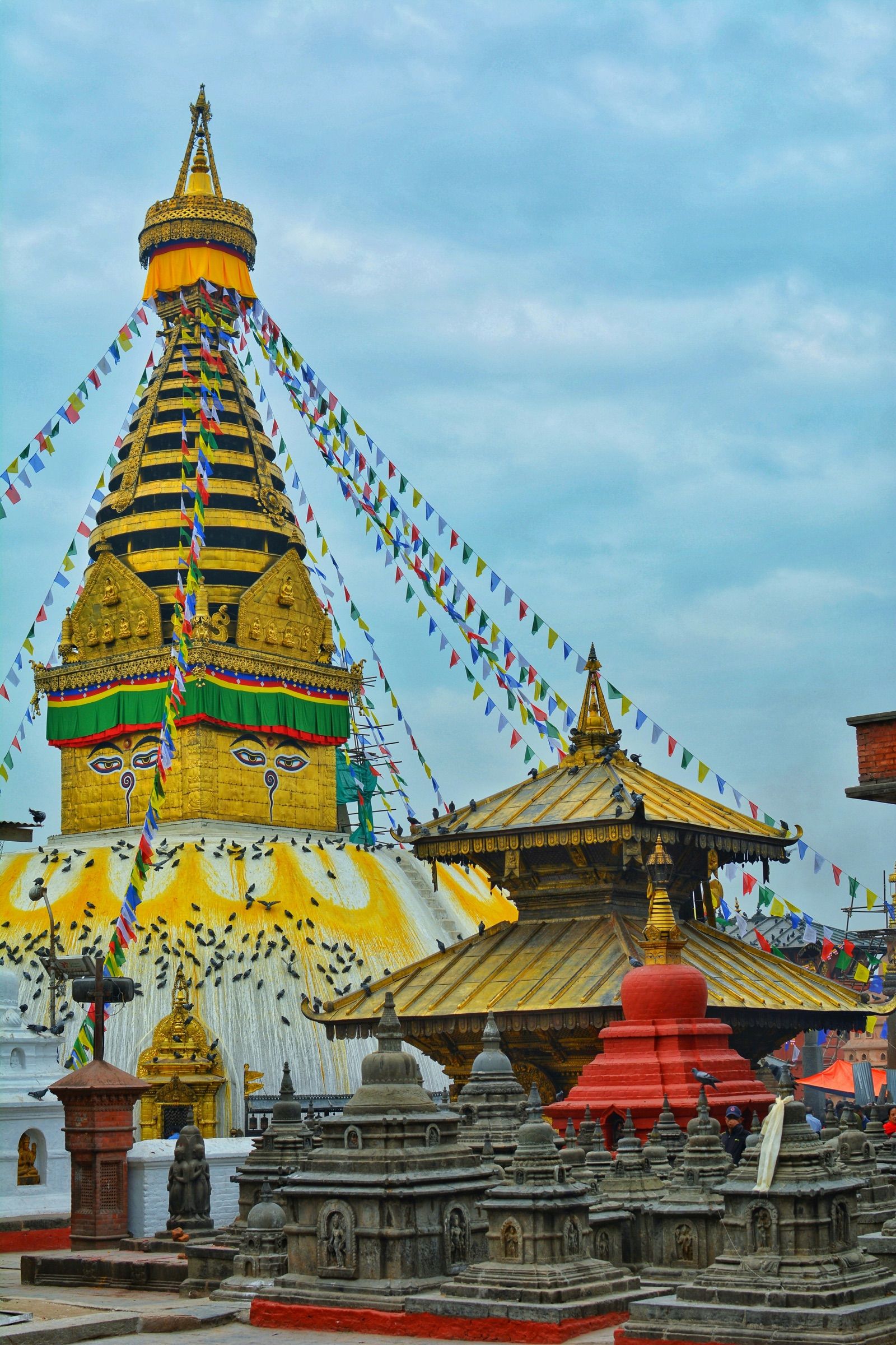 Descubre Nepal