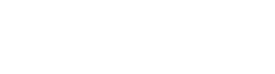 SKYRAY TRAVEL