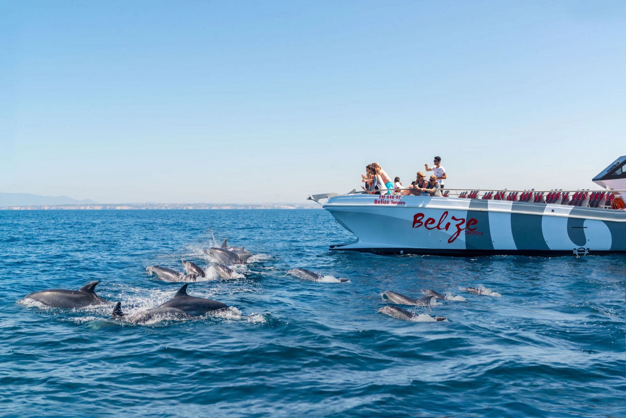Dolphin Watching Cruise from Albufeira