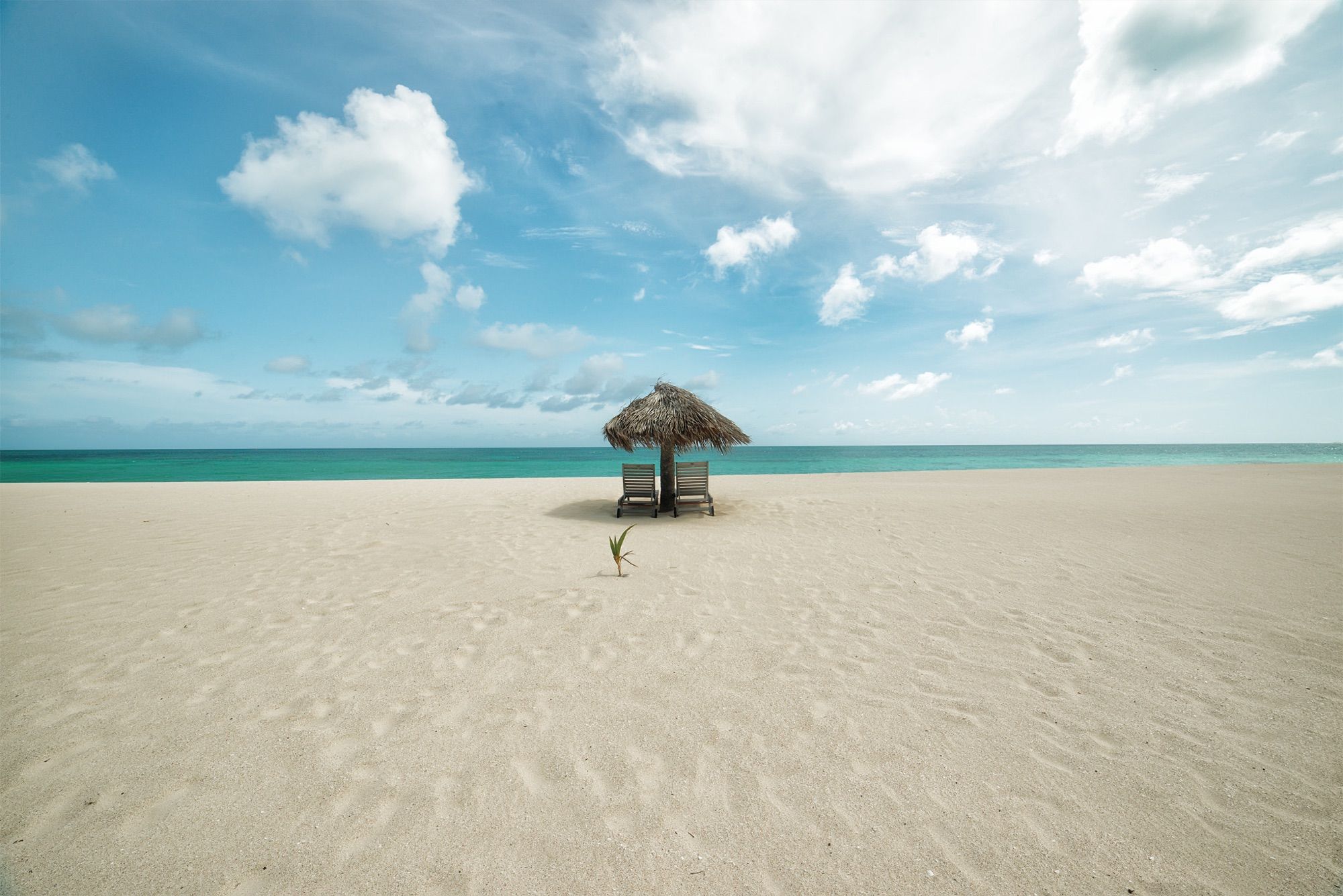 Barbuda day trip: frigate birds and pink-sand beaches