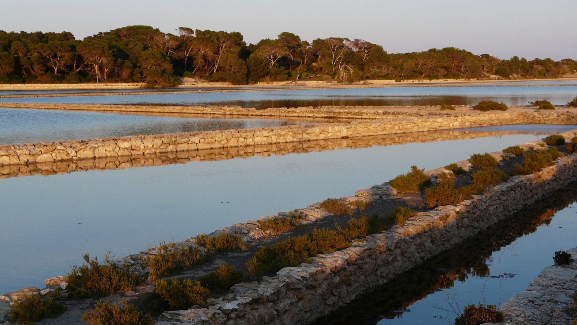 Salt pans of Ses Salines, Formentera