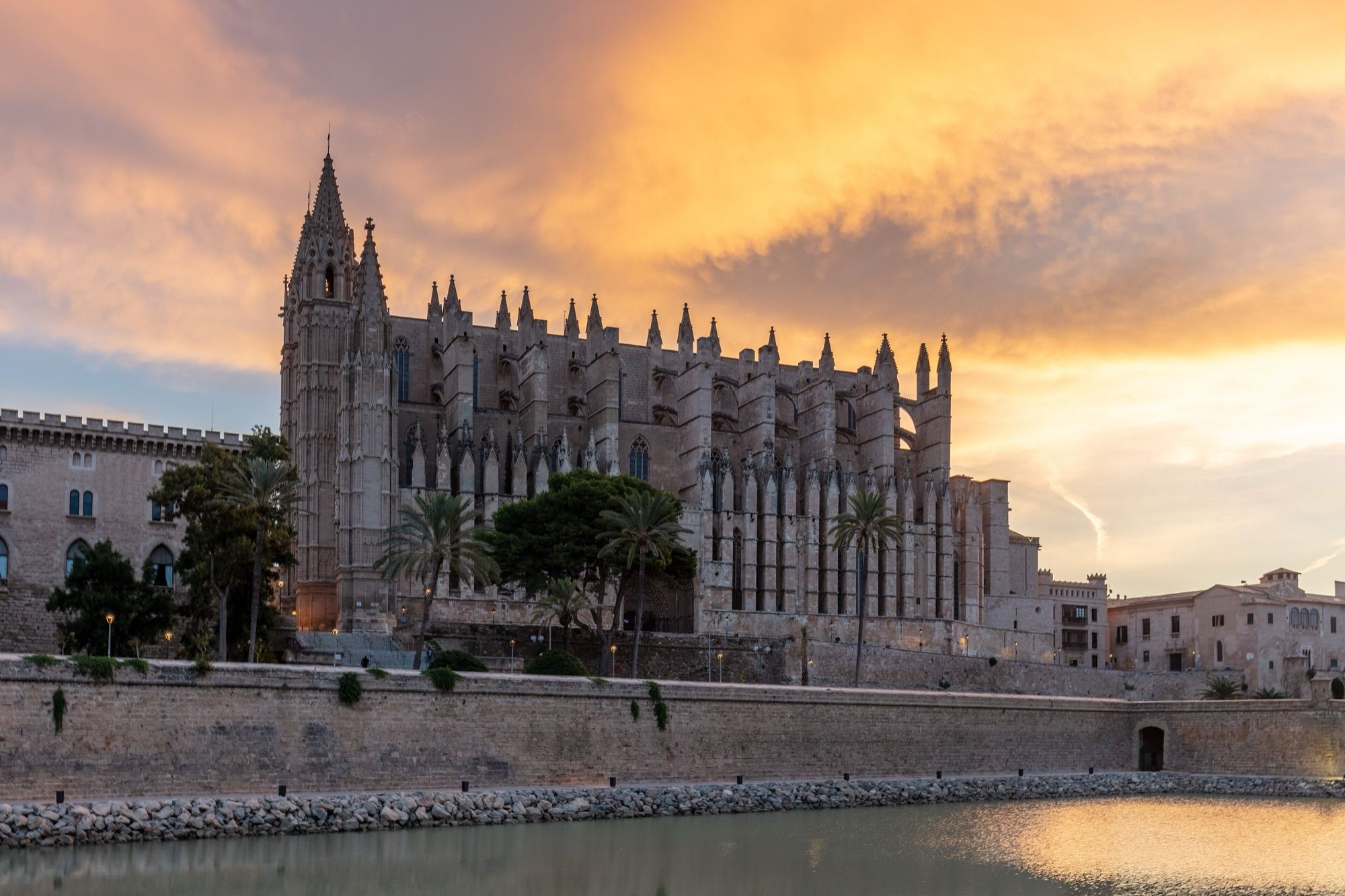 Palma cathedral and the Parc de la Mar lake at dusk