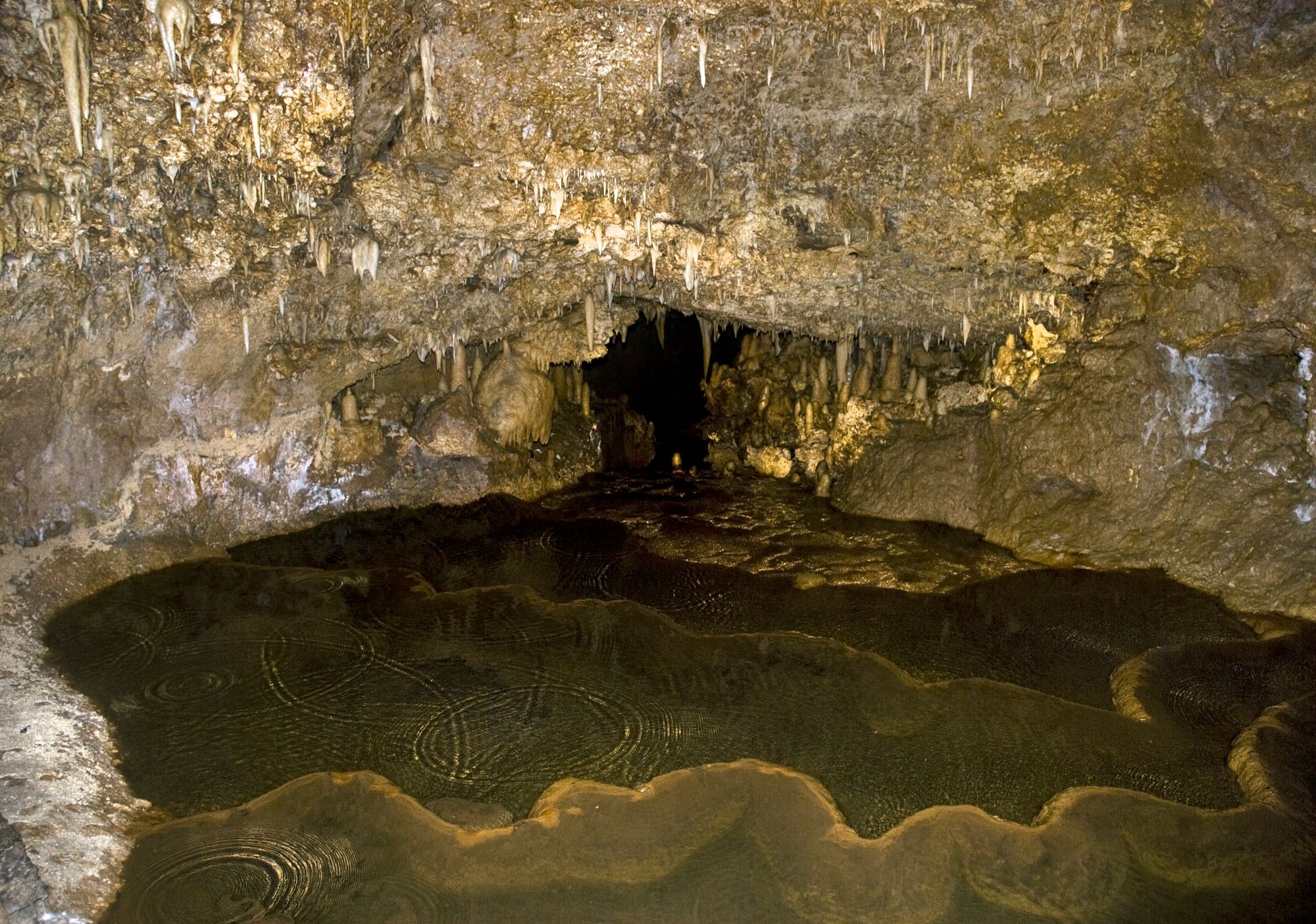 Still cave pool beneath the limestone ceiling of Harrison's Cave