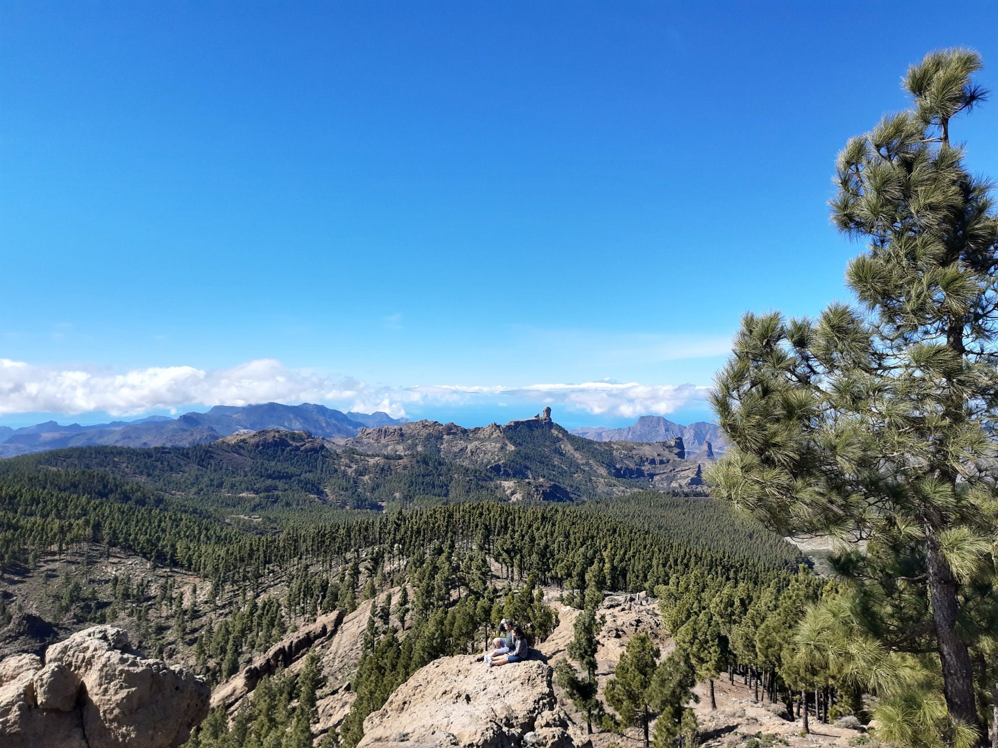 Gran Canaria Highlights: Arucas, Teror and Roque Nublo