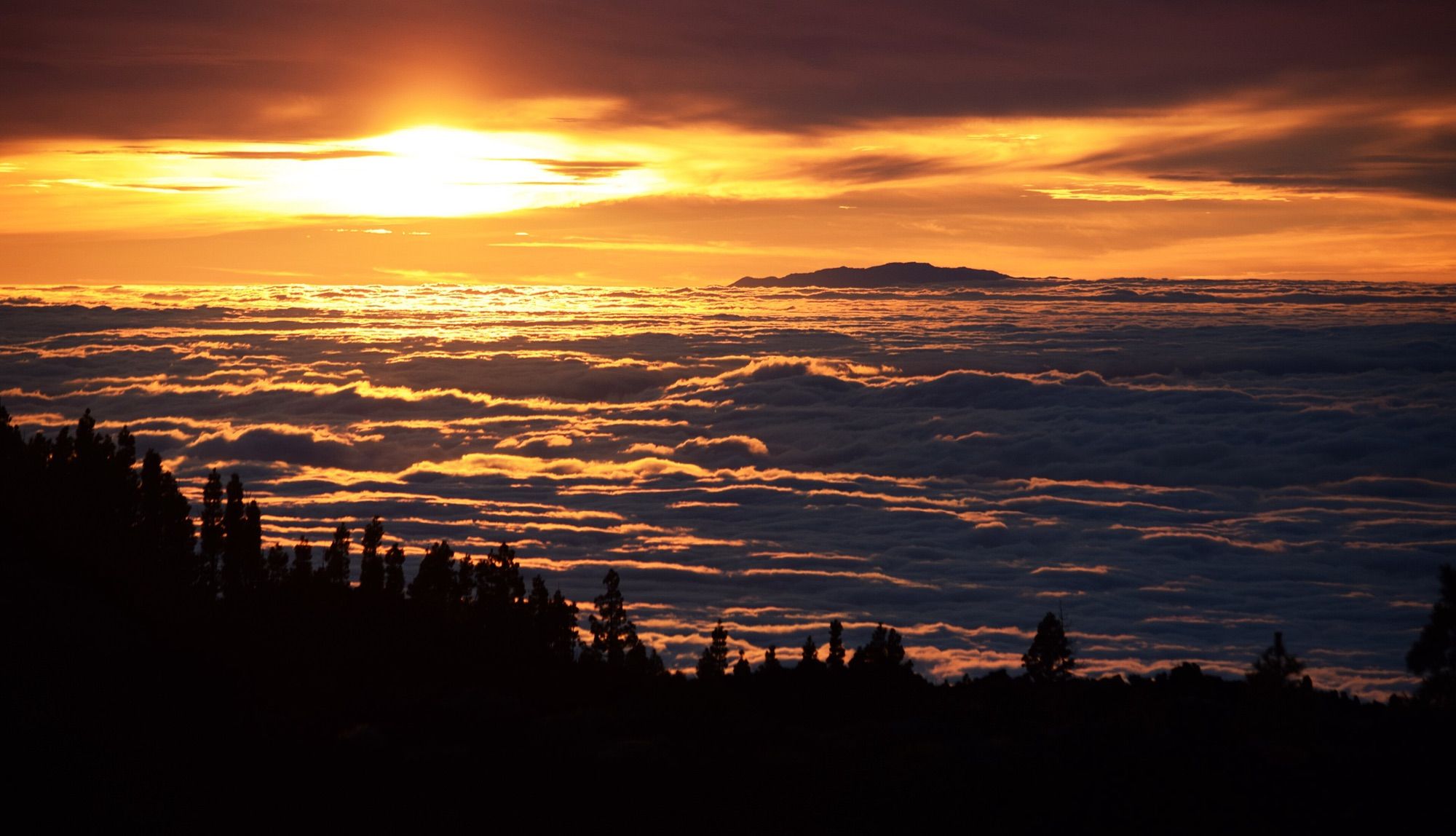 Teide Sunset, Dinner and Stargazing