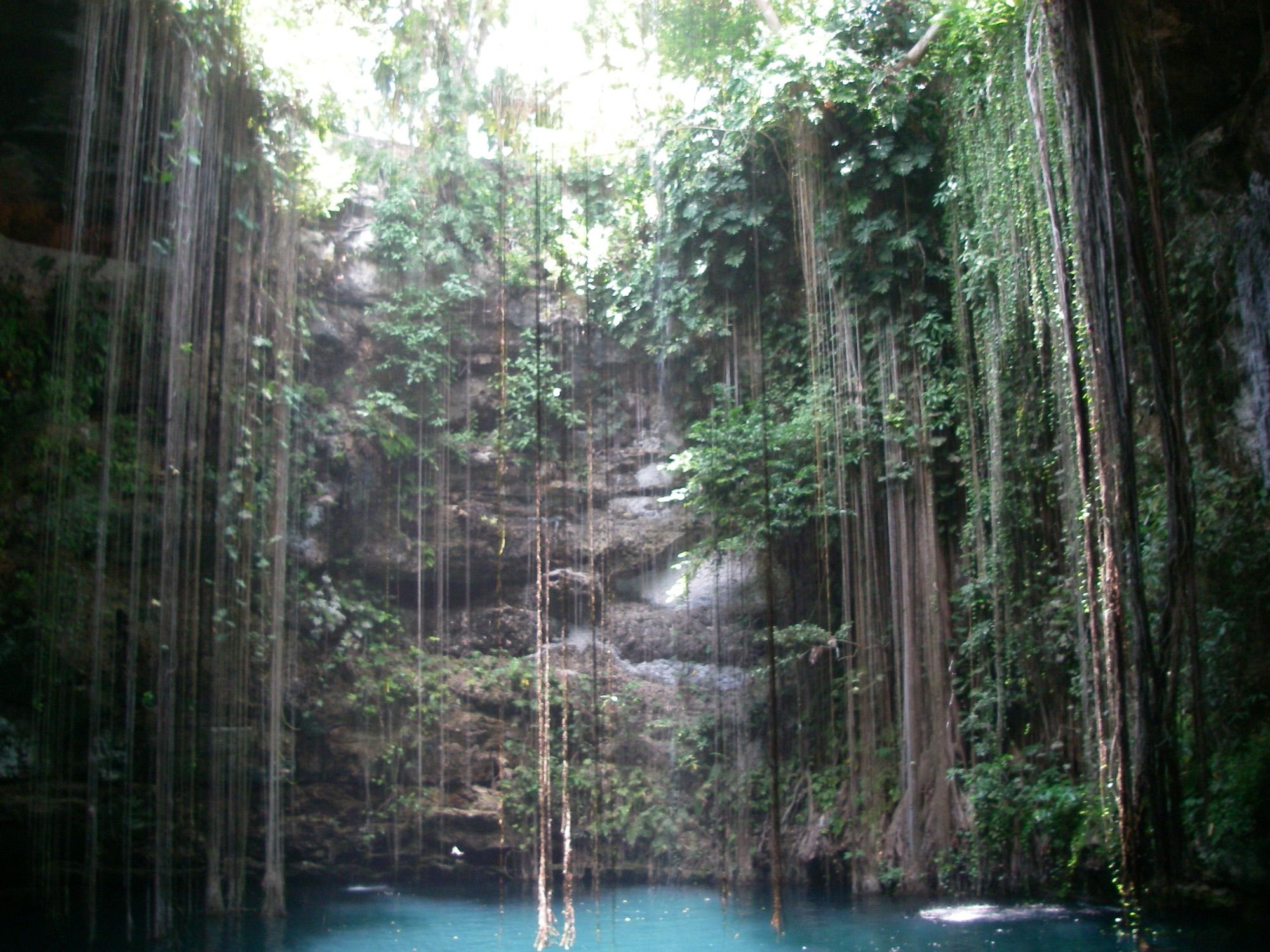 Hanging roots above the blue water of Ik Kil cenote