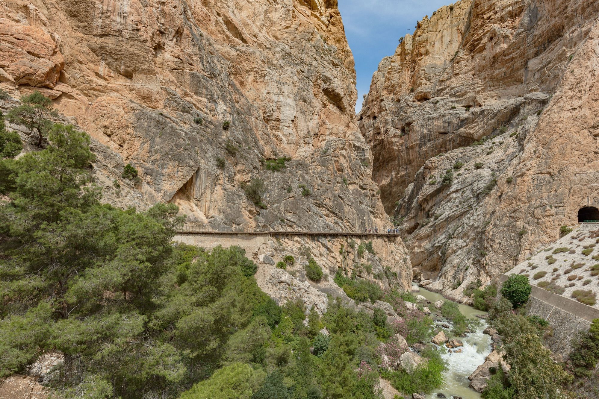 Caminito del Rey guided day trip