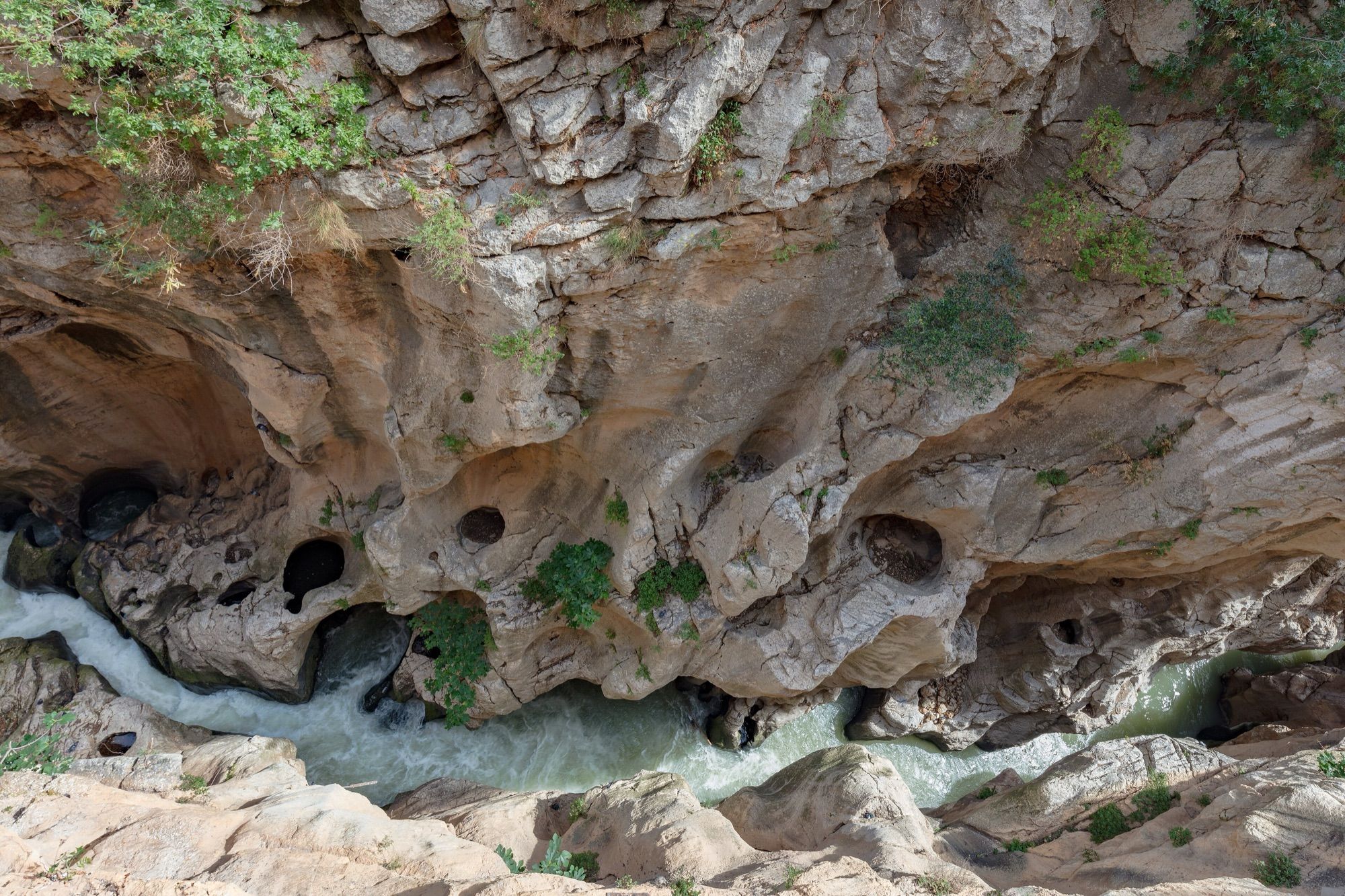 Excursión guiada al Caminito del Rey