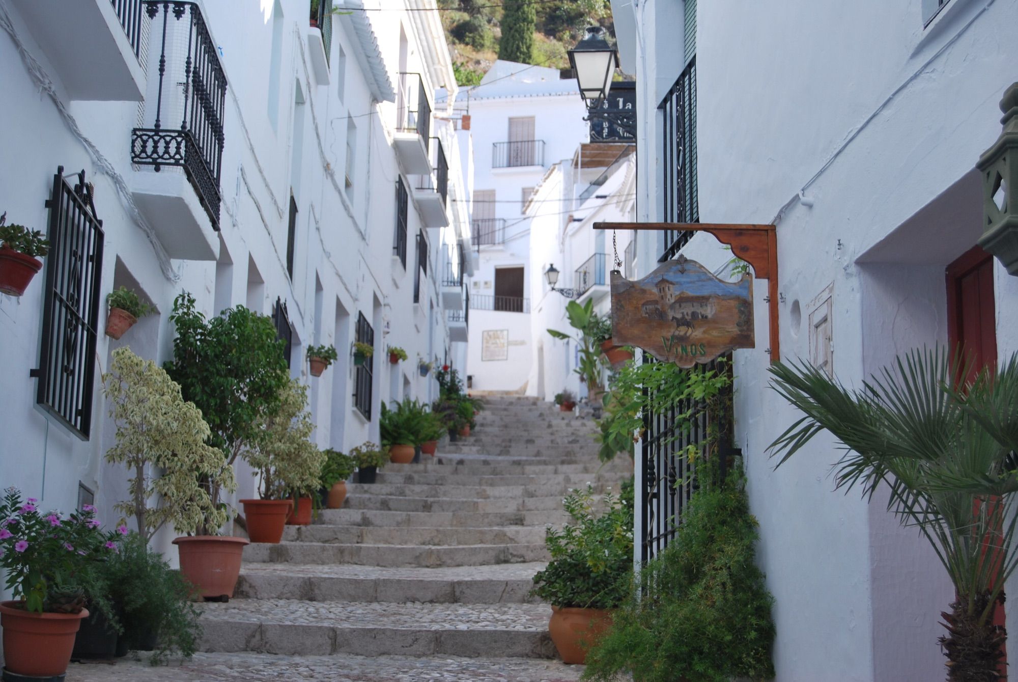 Excursión a la Cueva de Nerja y Frigiliana