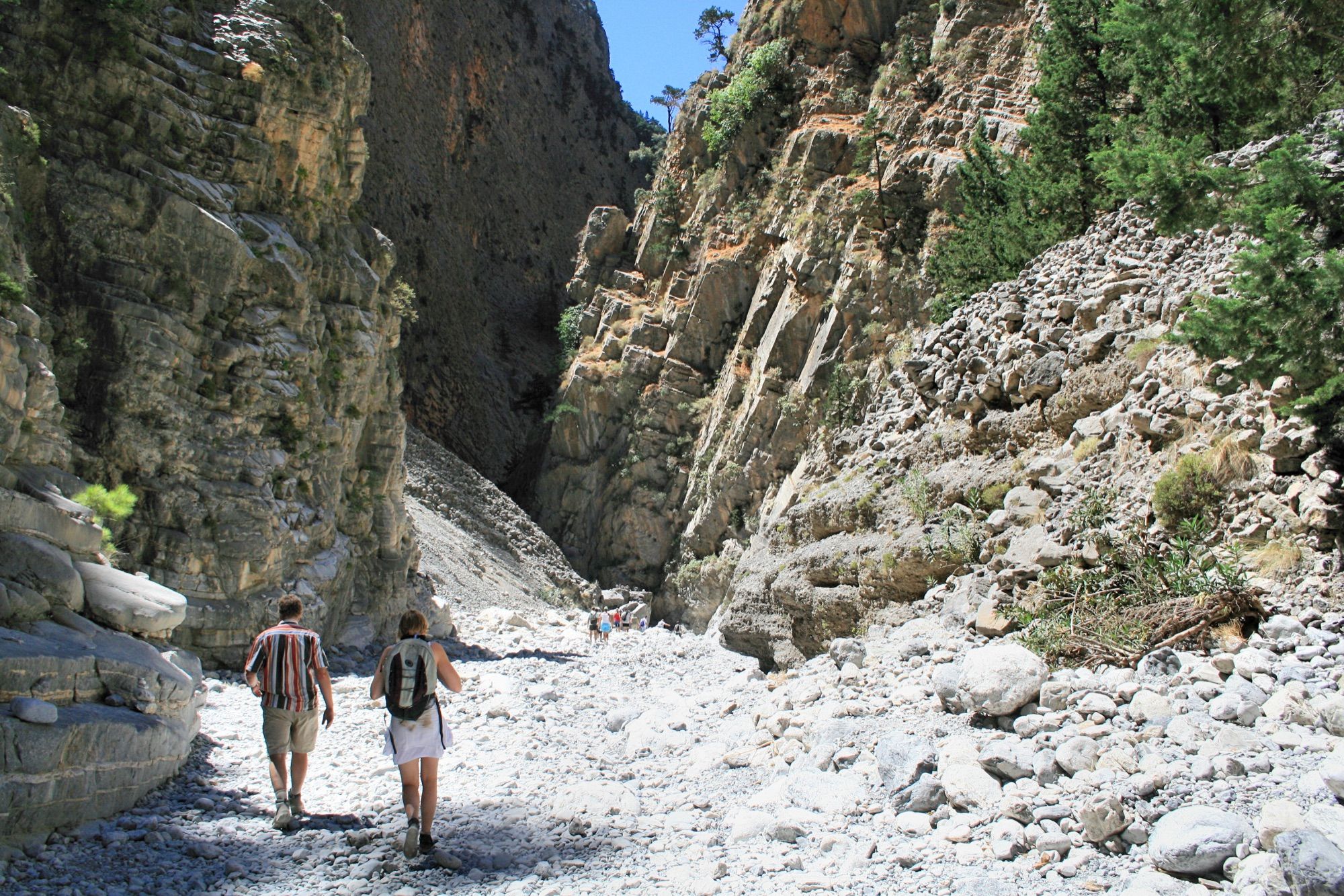 Samaria Gorge Hike from Chania