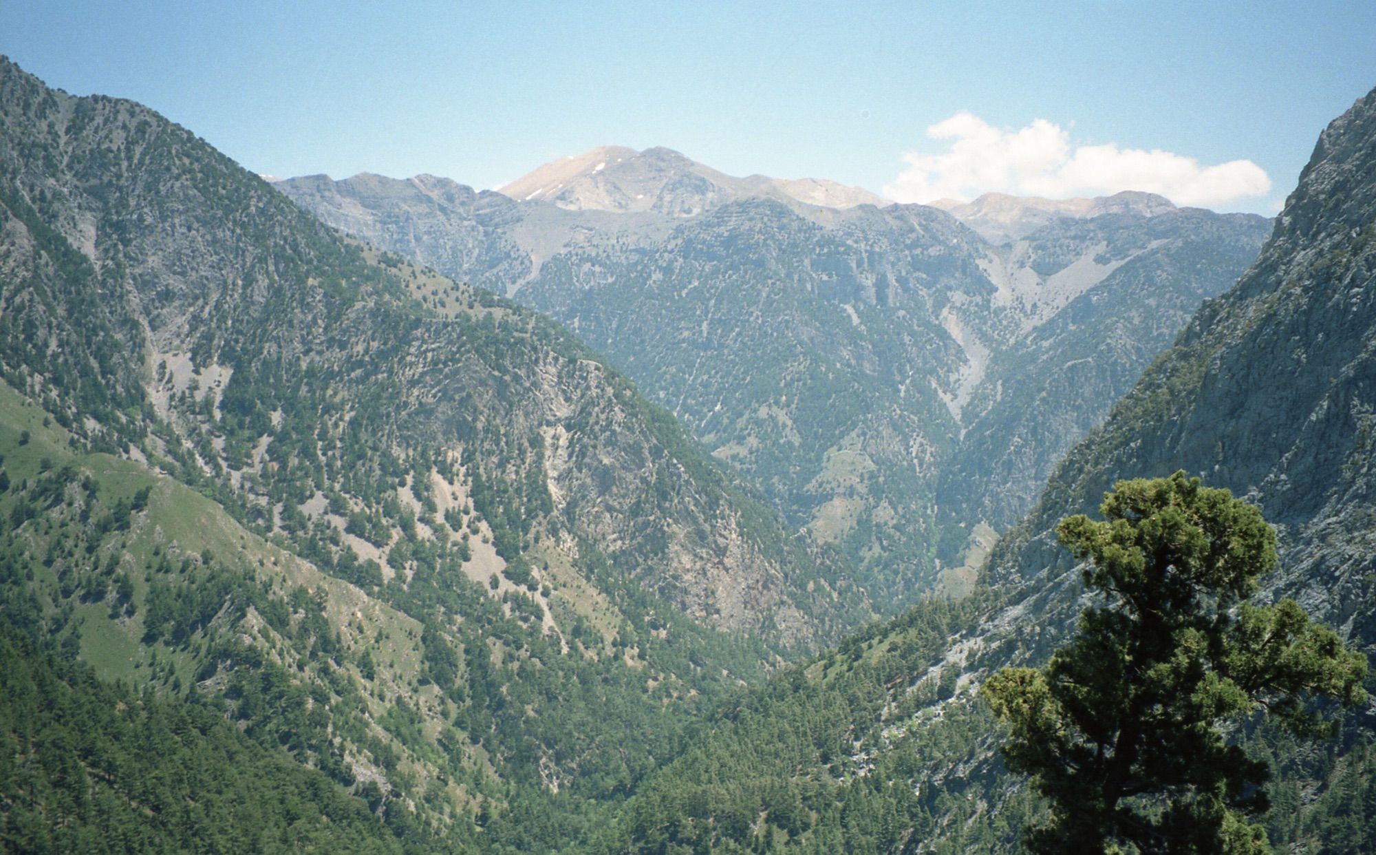 Looking down the Samaria Gorge from the White Mountains