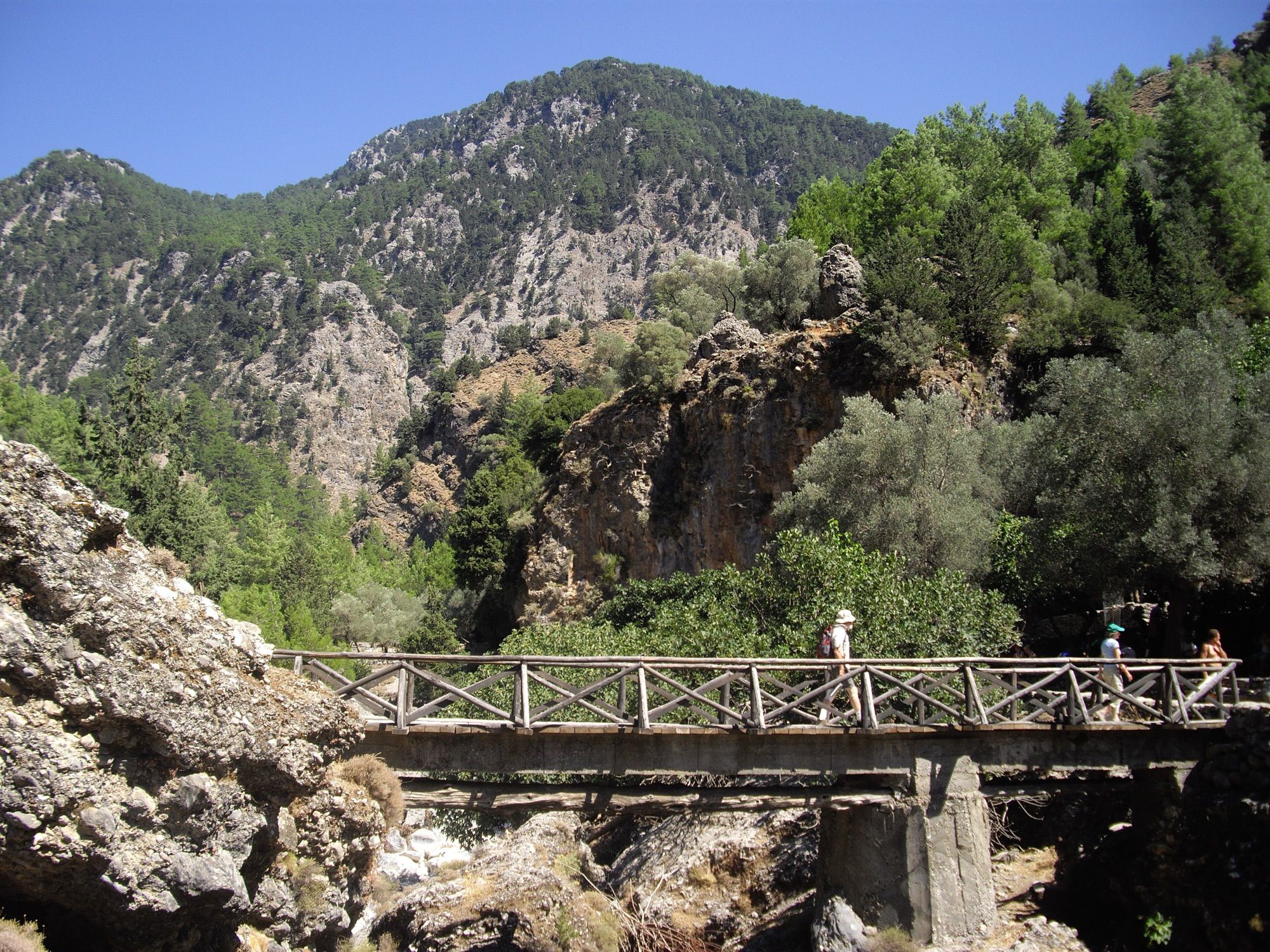 Wooden footbridge on the gorge trail