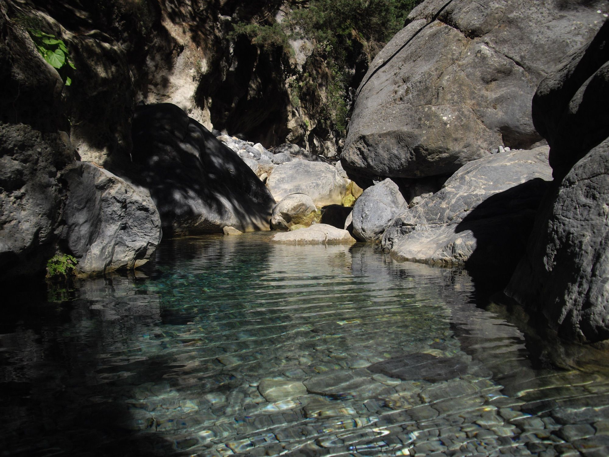 Clear stream pool among boulders in the gorge