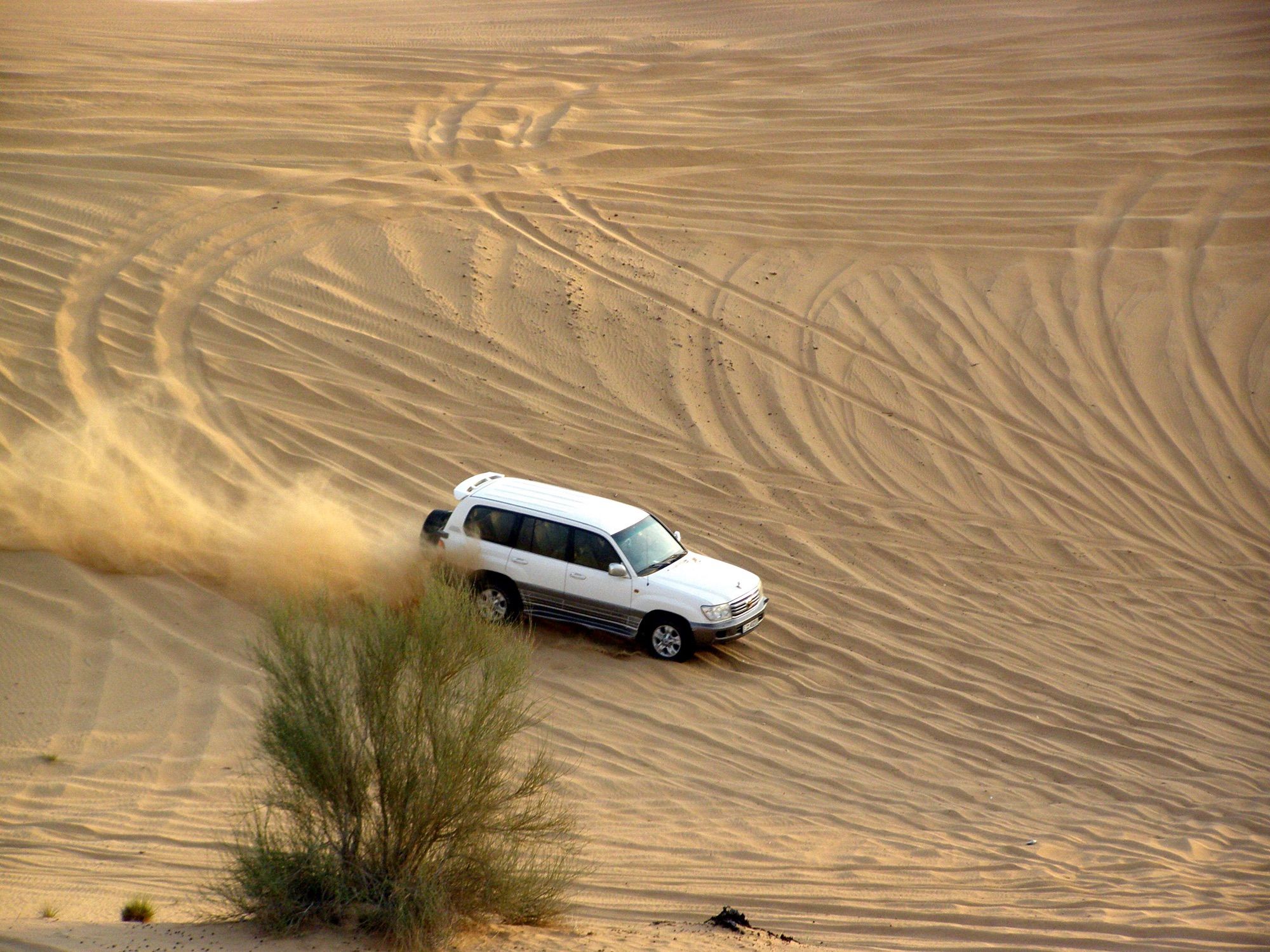 Evening desert safari with BBQ dinner