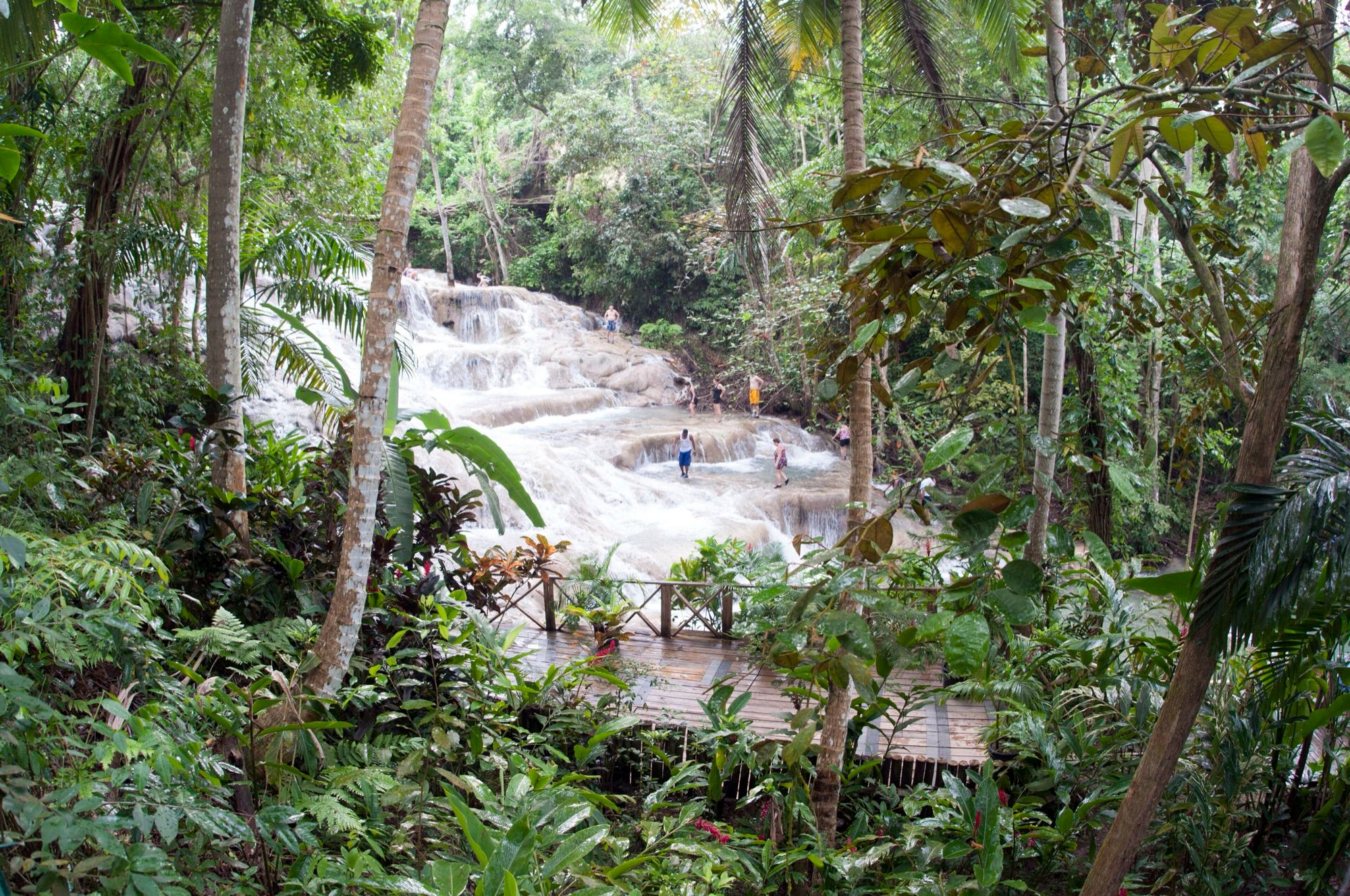 The falls framed by rainforest