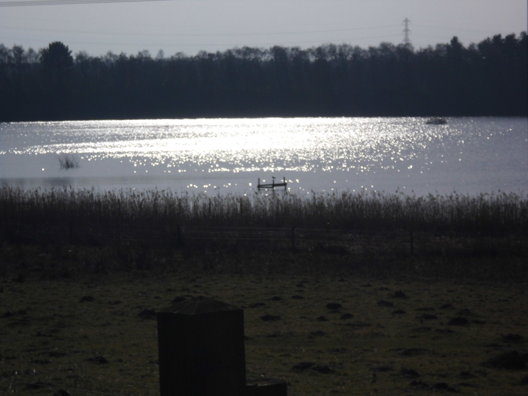 The lagoon at dusk