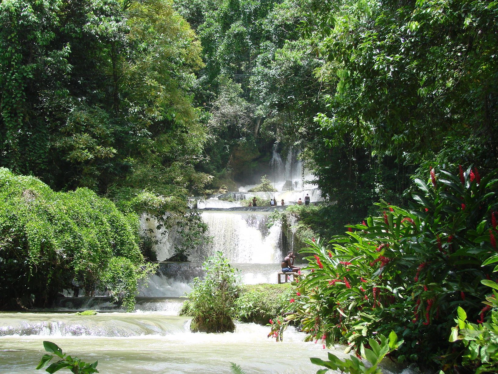 South Coast Day Trip: YS Falls and Black River Safari